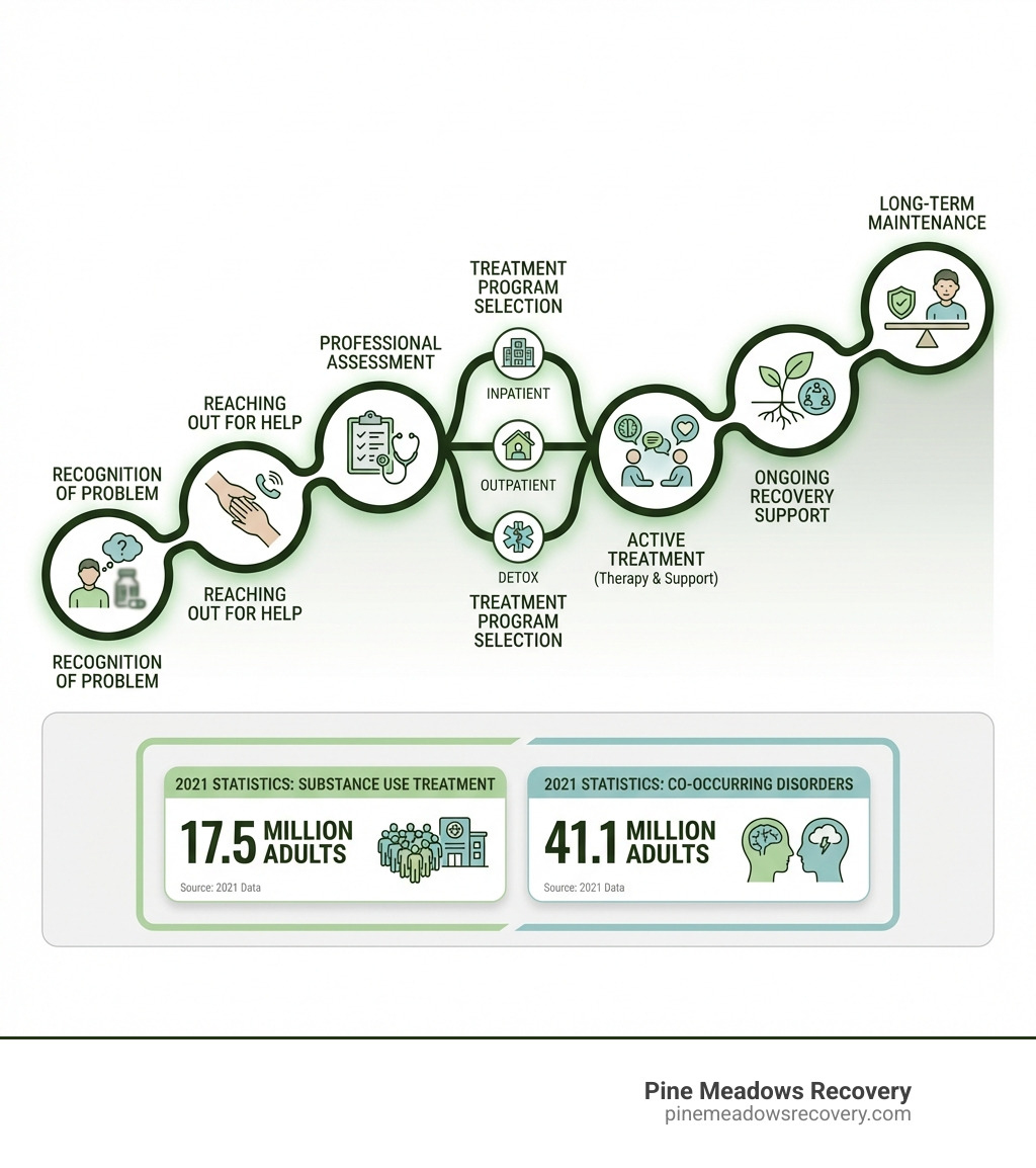 infographic showing the addiction help process: recognition of problem, reaching out for help, professional assessment, treatment program selection, active treatment with therapy and support, ongoing recovery support, and long-term maintenance with statistics showing 17.5 million adults received substance use treatment and 41.1 million adults had co-occurring mental health and substance use disorders in 2021 - getting help for addiction infographic infographic showing the addiction help process: recognition of problem, reaching out for help, professional assessment, treatment program selection, active treatment with therapy and support, ongoing recovery support, and long-term maintenance with statistics showing 17.5 million adults received substance use treatment and 41.1 million adults had co-occurring mental health and substance use disorders in 2021 - getting help for addiction infographic