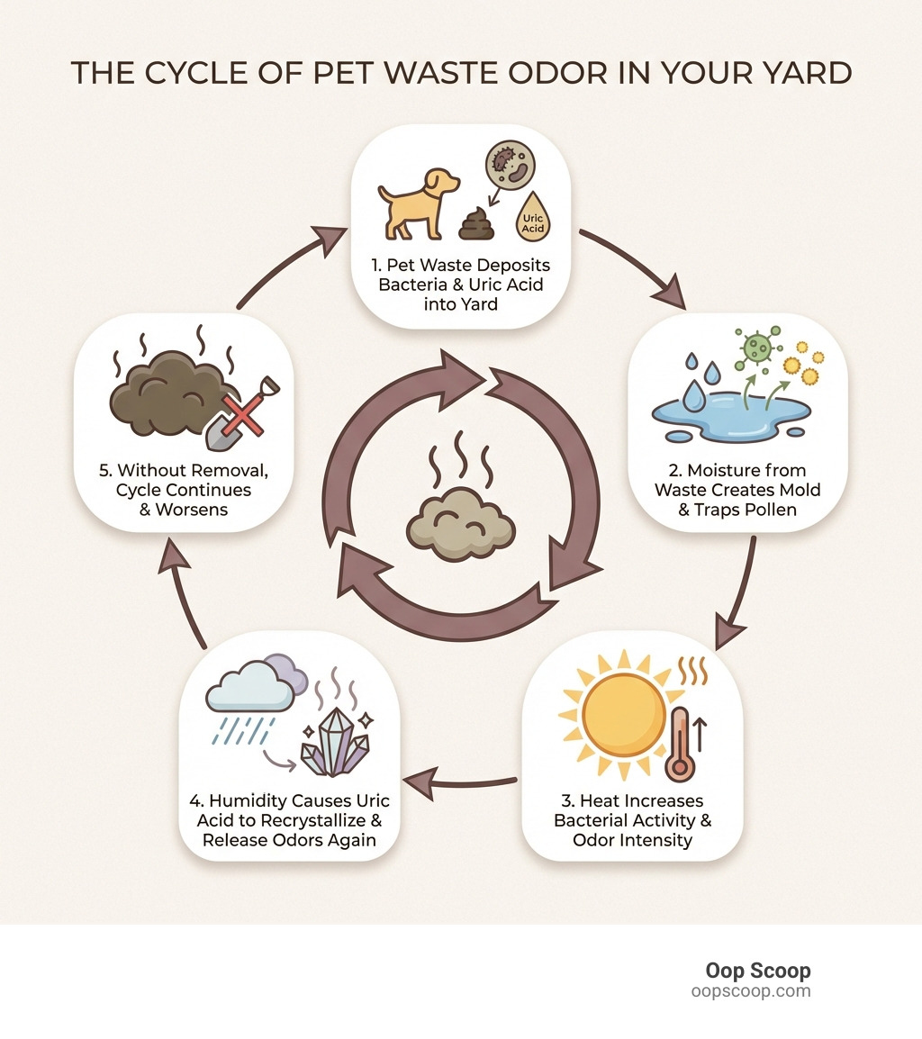 infographic showing the cycle of pet waste odor: 1) Pet waste deposits bacteria and uric acid into yard 2) Moisture from waste creates breeding ground for mold and traps pollen 3) Heat increases bacterial activity and odor intensity 4) Humidity causes uric acid to recrystallize and release odors again 5) Without removal, cycle continues and worsens - yard odor removal infographic infographic showing the cycle of pet waste odor: 1) Pet waste deposits bacteria and uric acid into yard 2) Moisture from waste creates breeding ground for mold and traps pollen 3) Heat increases bacterial activity and odor intensity 4) Humidity causes uric acid to recrystallize and release odors again 5) Without removal, cycle continues and worsens - yard odor removal infographic