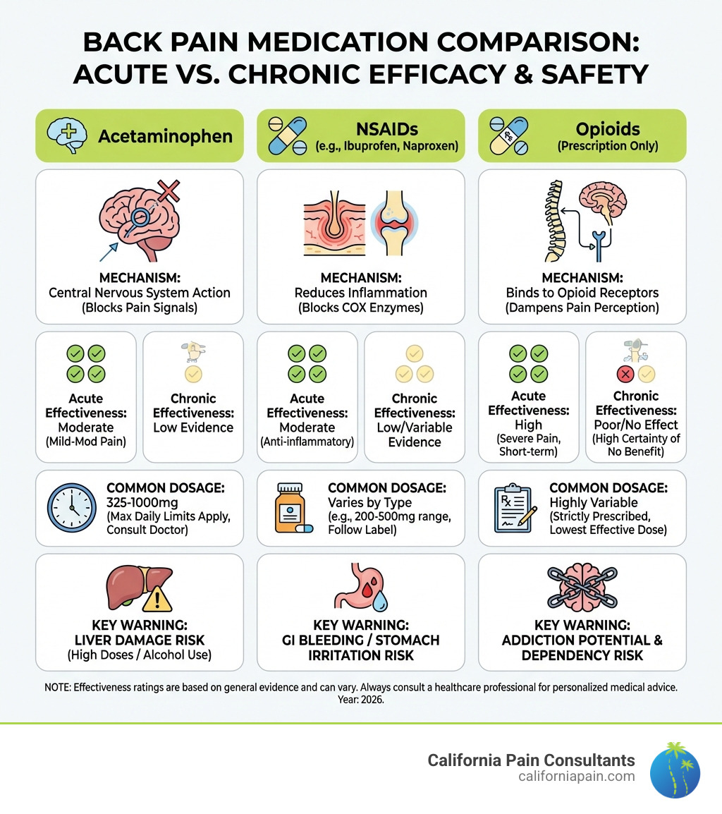 infographic showing comparison of pain medication types, their mechanisms of action, effectiveness ratings for acute vs chronic back pain, common dosages, and key safety warnings including liver damage risk for acetaminophen, GI bleeding risk for NSAIDs, and addiction potential for opioids - best pain killers for back ache infographic 