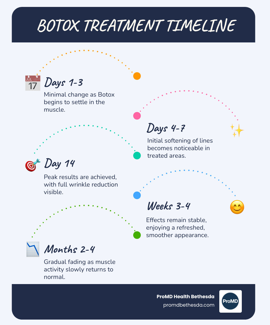 Infographic showing the Botox treatment timeline from injection through days 1-3 minimal change, days 4-7 initial softening, day 14 peak results, weeks 3-4 stable effects, and months 2-4 gradual fading, with typical dosing ranges for forehead (10-30 units), frown lines, and crow's feet (12-24 units total), plus factors influencing results including muscle strength, skin quality, age, treatment history, and provider skill - Botox before and after infographic infographic-line-5-steps-blues-accent_colors