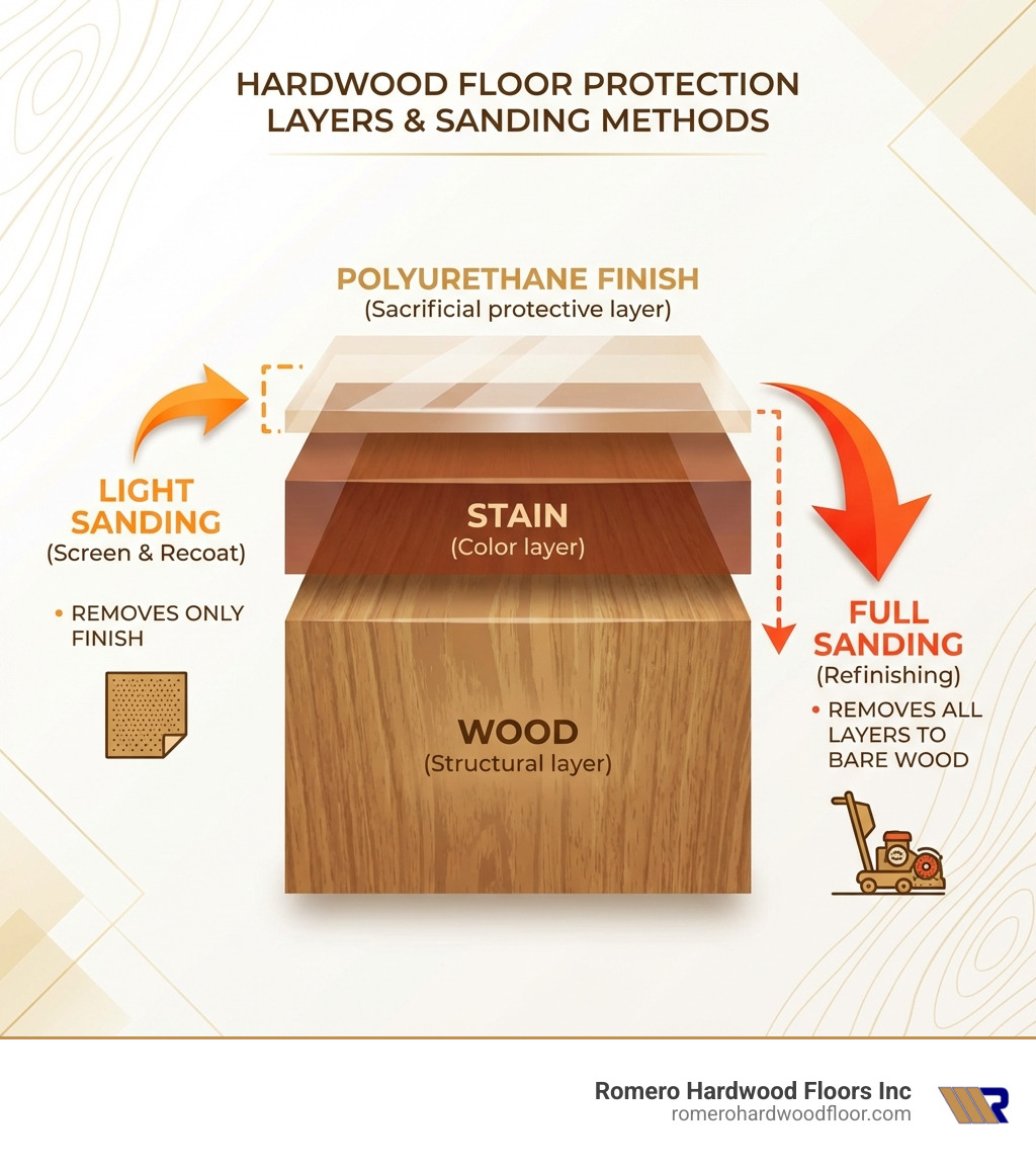 Infographic showing cross-section of hardwood floor with three layers labeled: top layer as polyurethane finish (sacrificial protective layer), middle layer as stain (color layer), and bottom layer as wood (structural layer). Arrows indicate light sanding removes only top finish layer while full sanding removes all layers down to bare wood - light sanding hardwood floors infographic 