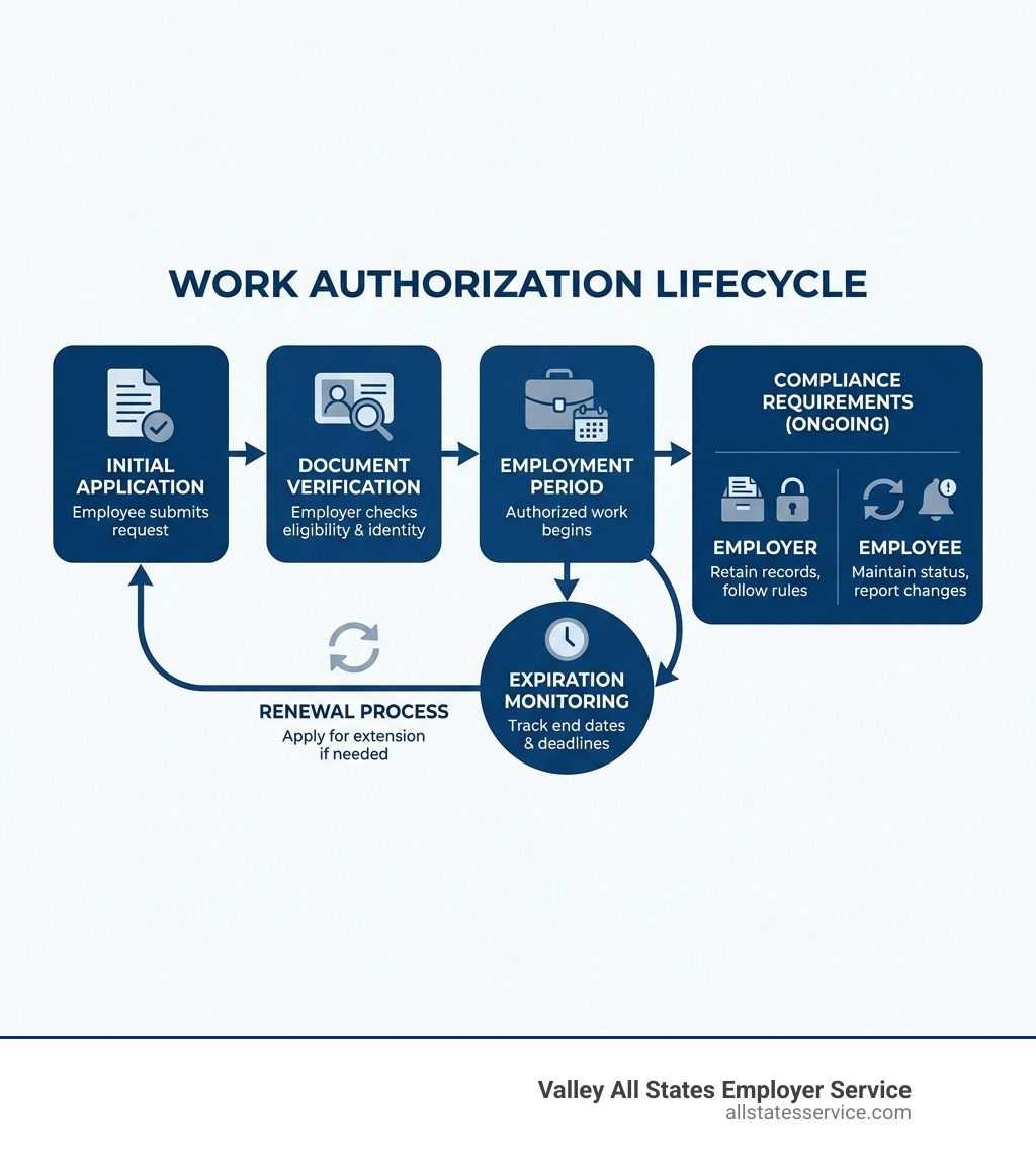 infographic showing work authorization lifecycle from initial application through document verification, employment period, expiration monitoring, renewal process, and compliance requirements for both employers and employees - Employee work authorization infographic 