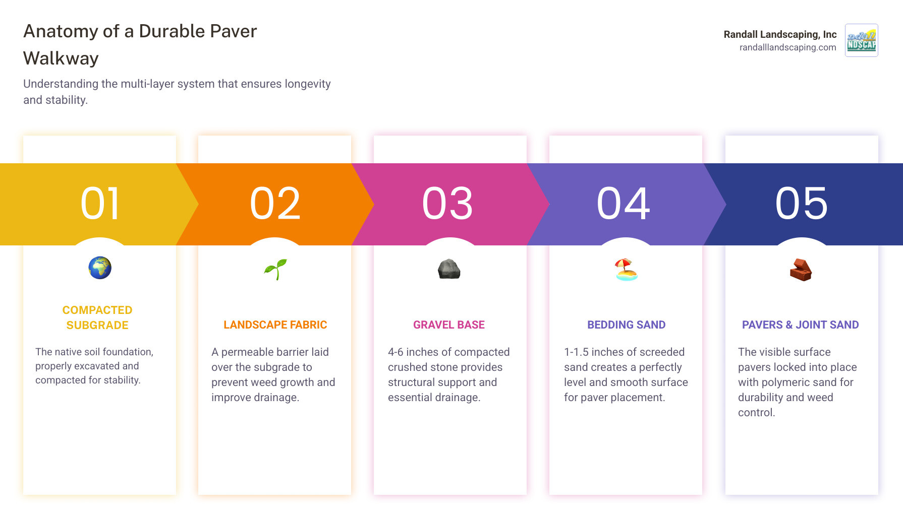 infographic showing the layered system of a paver walkway from bottom to top: compacted subgrade soil, landscape fabric, 4-6 inches compacted gravel base, 1-1.5 inches leveling sand, pavers, and polymeric joint sand - lay a paver walkway infographic pillar-5-steps