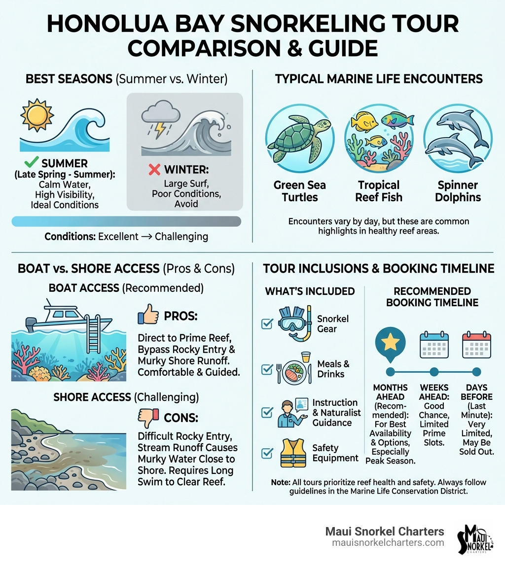 Infographic showing Honolua Bay snorkeling tour comparison - best seasons (summer vs winter), typical marine life encounters (sea turtles, reef fish, dolphins), boat vs shore access pros and cons, what's included in tours (gear, meals, instruction), and recommended booking timeline - honolua bay snorkeling tours infographic 