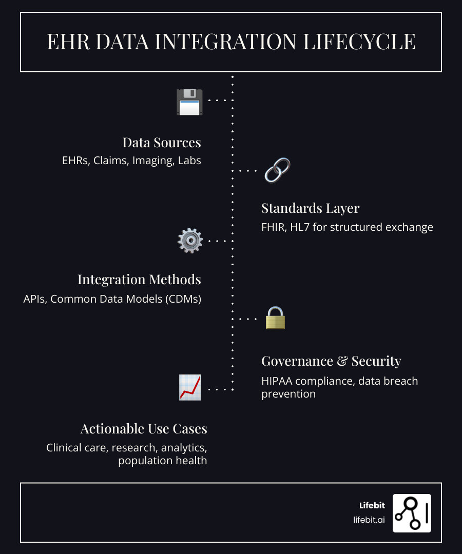 Infographic showing the EHR data integration lifecycle: data sources (EHRs, claims, imaging, labs) flowing through standards layer (FHIR, HL7), integration methods (APIs, CDMs), governance controls (HIPAA, security), and finally to use cases (clinical care, research, analytics, population health) - ehr data integration infographic infographic-line-5-steps-dark Infographic showing the EHR data integration lifecycle: data sources (EHRs, claims, imaging, labs) flowing through standards layer (FHIR, HL7), integration methods (APIs, CDMs), governance controls (HIPAA, security), and finally to use cases (clinical care, research, analytics, population health) - ehr data integration infographic infographic-line-5-steps-dark