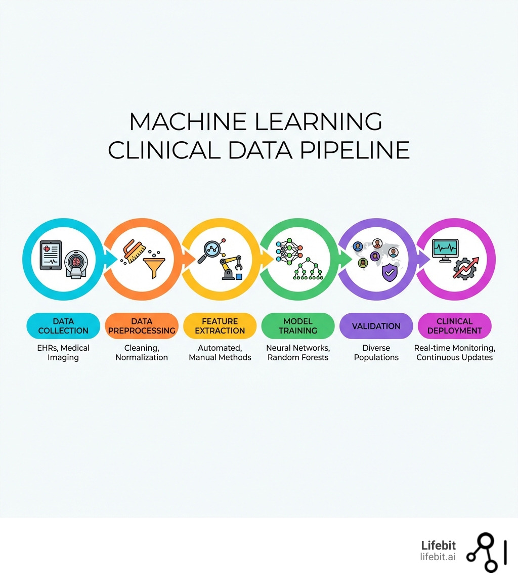 Infographic showing the machine learning clinical data pipeline: Data Collection from EHRs and medical imaging, Data Preprocessing including cleaning and normalization, Feature Extraction using automated or manual methods, Model Training with algorithms like neural networks and random forests, Validation across diverse populations, and Clinical Deployment with real-time monitoring and continuous updates - Machine learning clinical data infographic 