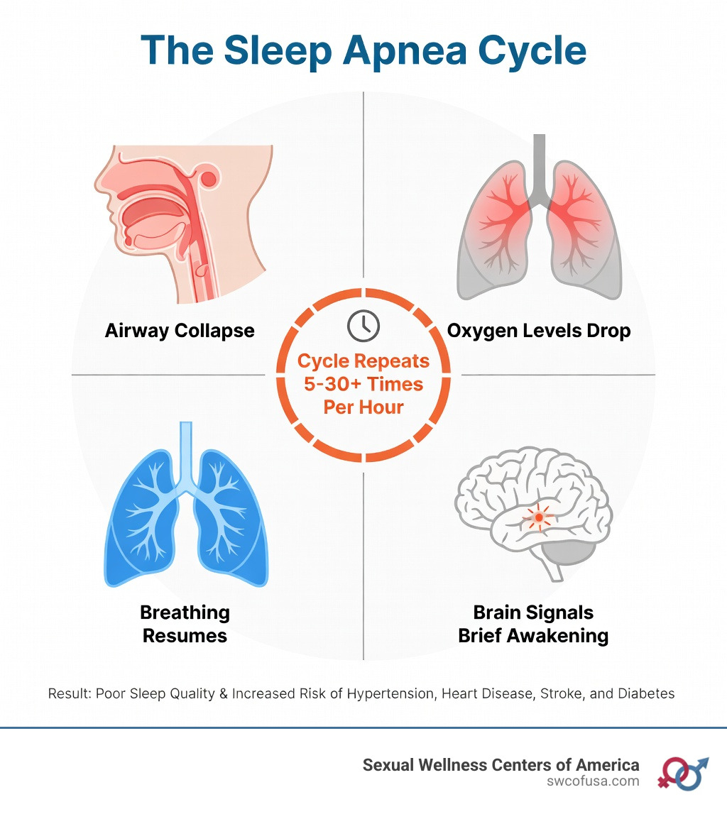 infographic showing the sleep apnea cycle: airway collapse during sleep, oxygen levels drop, brain signals brief awakening, breathing resumes, cycle repeats 5-30+ times per hour - what causes sleep apnea infographic infographic showing the sleep apnea cycle: airway collapse during sleep, oxygen levels drop, brain signals brief awakening, breathing resumes, cycle repeats 5-30+ times per hour - what causes sleep apnea infographic