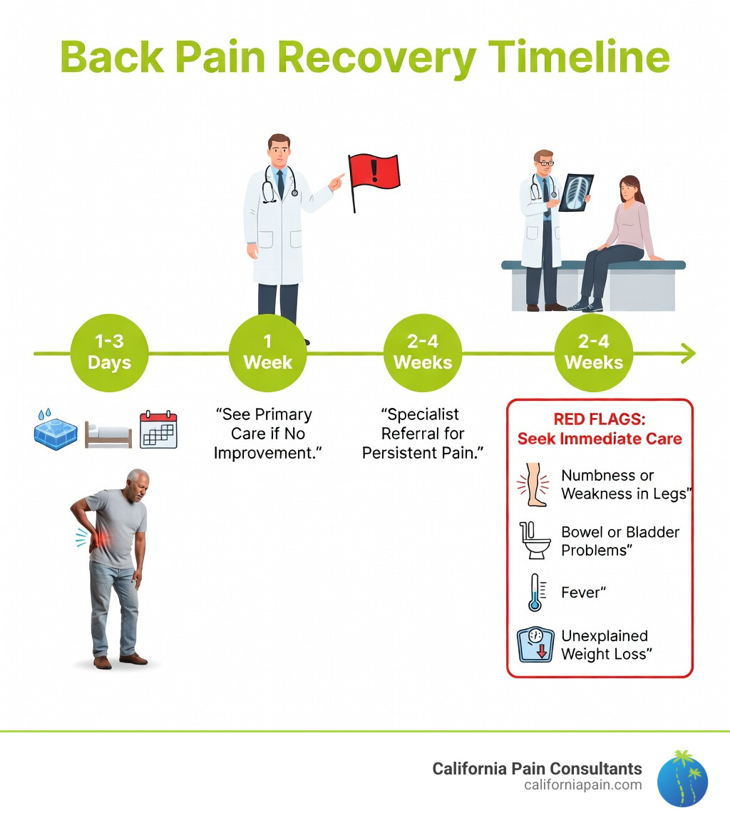 infographic showing timeline of back pain recovery with decision points: 1-3 days home care with ice and rest, 1 week see primary care if no improvement, 2-4 weeks specialist referral for persistent pain, red flags requiring immediate care including numbness weakness bowel bladder problems fever and unexplained weight loss - Back injury doctor infographic 