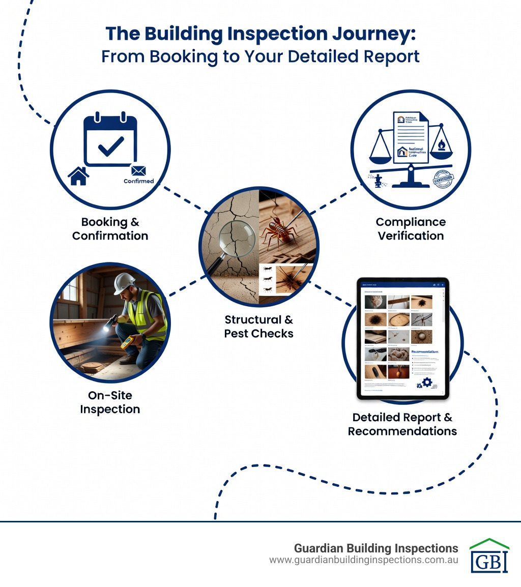infographic showing the building inspection process from booking through to receiving a detailed report with photos, covering structural checks, pest detection, compliance verification, and final recommendations - building inspection dandenong infographic 