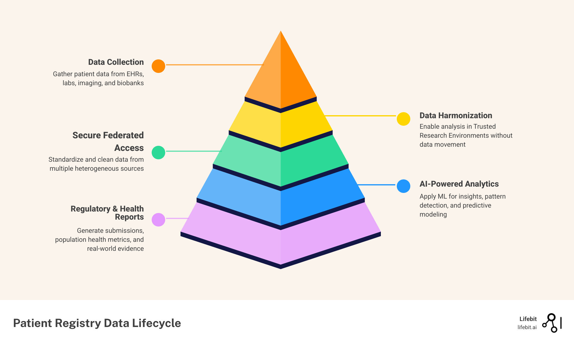 Infographic showing the patient registry data lifecycle: data collection from multiple sources (EHRs, labs, imaging, biobanks) → data harmonization and standardization → secure federated access in Trusted Research Environments → analytics and AI-powered insights → regulatory submissions and population health reports - global patient registry software market infographic pyramid-hierarchy-5-steps