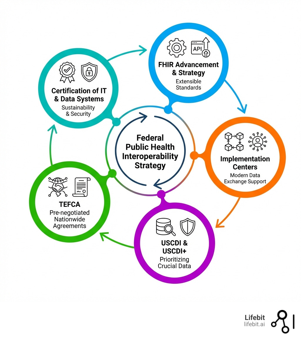 Infographic showing the federal public health interoperability strategy: FHIR Advancement & Strategy for extensible standards, Implementation Centers for modern data exchange support, USCDI & USCDI+ for prioritizing crucial data, TEFCA for pre-negotiated nationwide agreements, and Certification of IT & Data Systems for sustainability and security—all interconnected in a clockwise framework - clinical data interoperability infographic Infographic showing the federal public health interoperability strategy: FHIR Advancement & Strategy for extensible standards, Implementation Centers for modern data exchange support, USCDI & USCDI+ for prioritizing crucial data, TEFCA for pre-negotiated nationwide agreements, and Certification of IT & Data Systems for sustainability and security—all interconnected in a clockwise framework - clinical data interoperability infographic