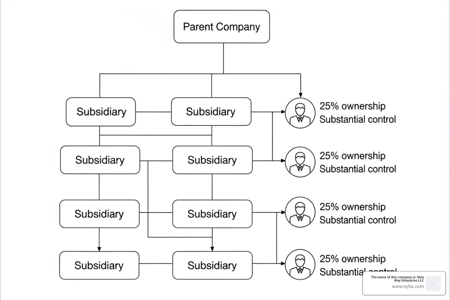 Corporate structure diagram showing parent companies, subsidiaries, and individuals with 25% ownership or substantial control - how to file nylta