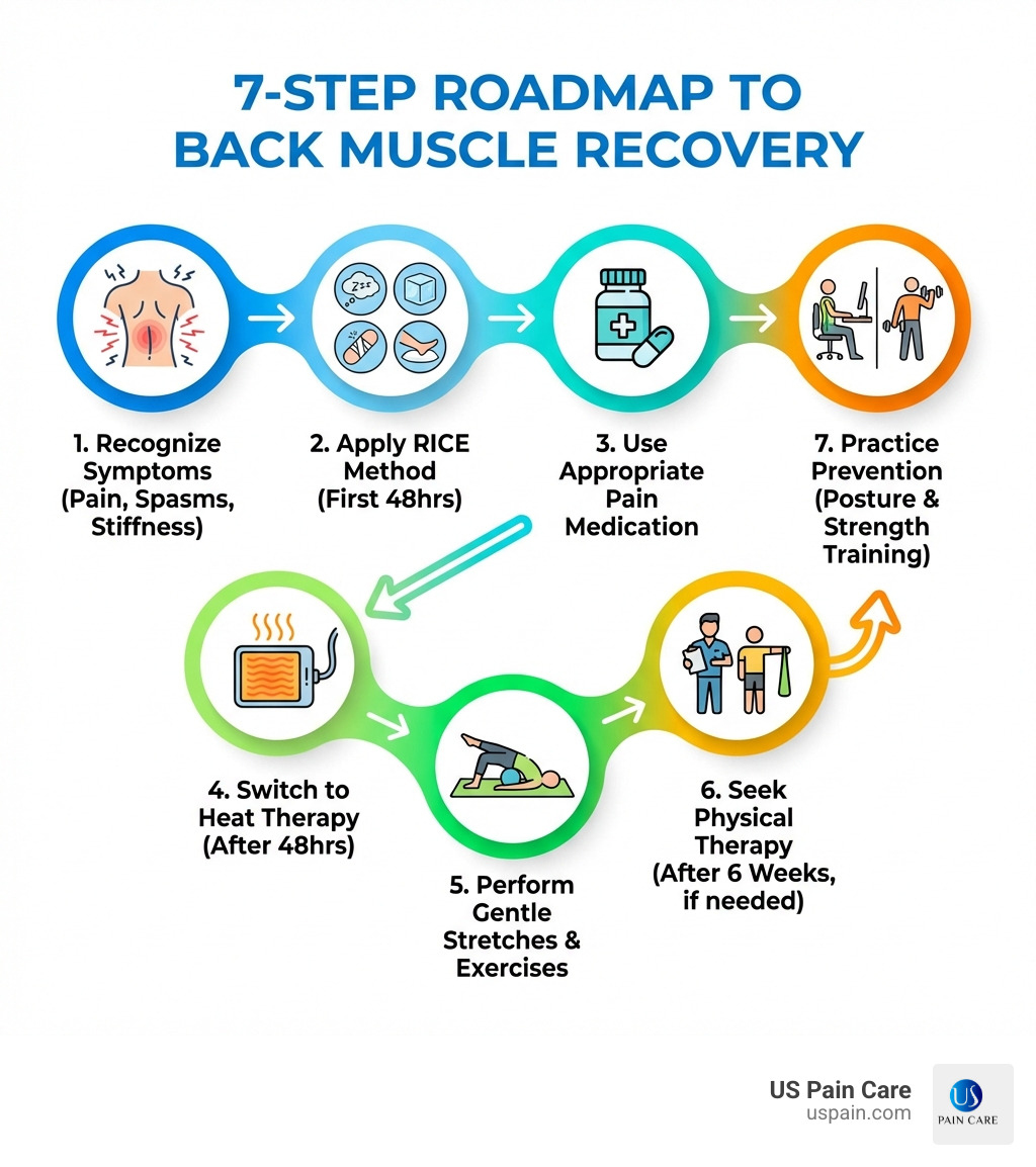 infographic showing 7-step roadmap to back muscle recovery: 1. Recognize symptoms (pain, spasms, stiffness), 2. Apply RICE method in first 48 hours, 3. Use appropriate pain medication, 4. Switch to heat therapy after 48 hours, 5. Perform gentle stretches and exercises, 6. Seek physical therapy if needed after 6 weeks, 7. Practice prevention through posture and strength training - treat a pulled back muscle infographic 