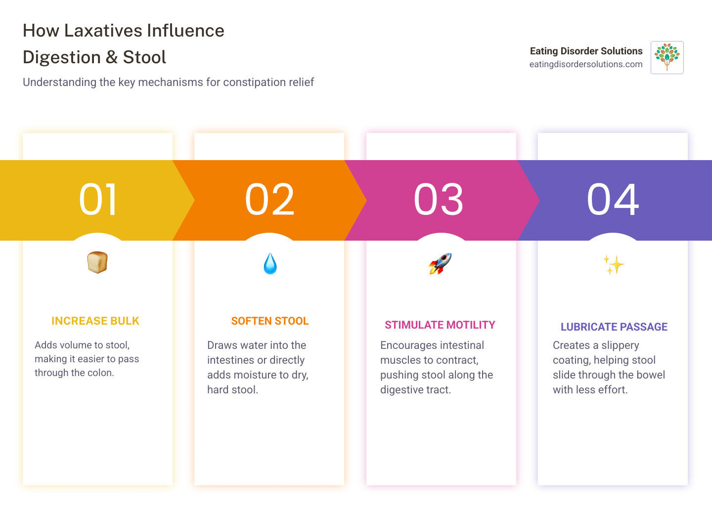 Infographic explaining the digestive process and stool formation - What laxatives do infographic pillar-4-steps