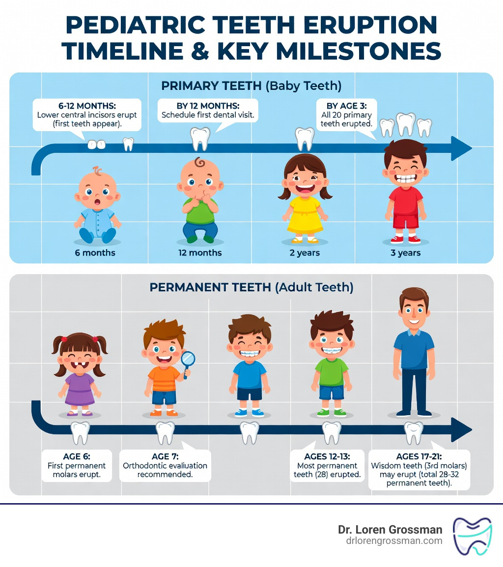 Infographic showing primary teeth eruption timeline from 6-12 months to age 3, and permanent teeth eruption from age 6 to 21, with key milestones including first dental visit by first birthday, orthodontic evaluation at age 7, and total of 28-32 permanent teeth in adults - Kingston pediatric dentistry infographic 