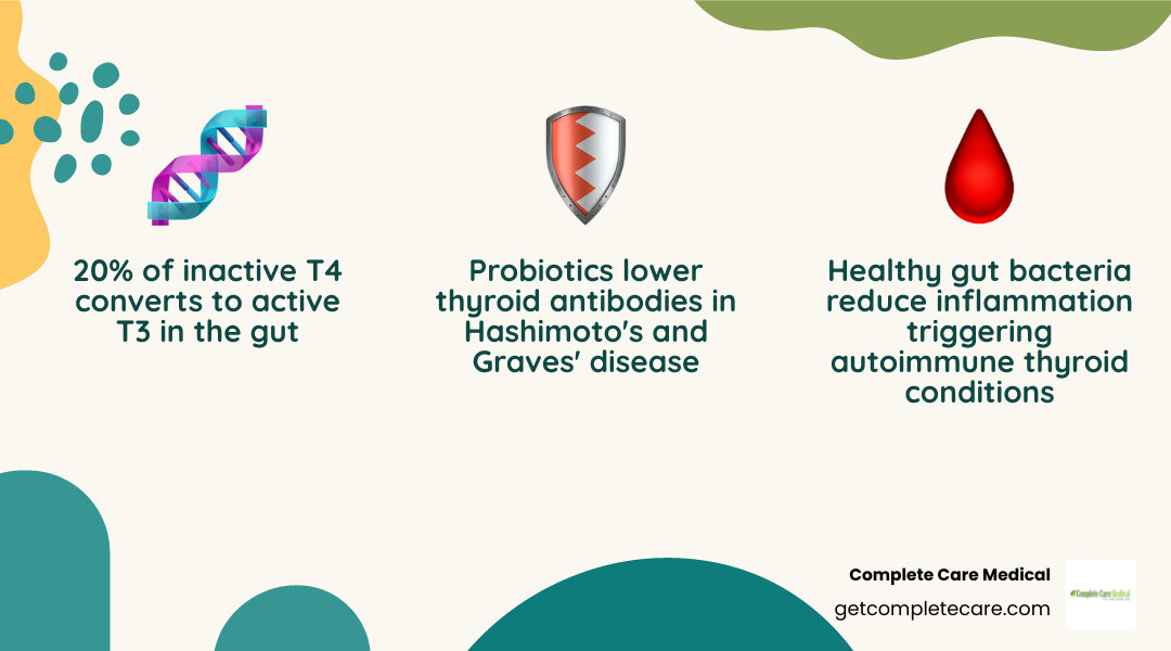 Infographic showing the gut-thyroid axis: gut bacteria influence thyroid function through nutrient absorption (iodine, selenium, zinc, iron), hormone conversion (20% of T4 to T3 occurs in gut), immune system modulation, and inflammation control. Dysbiosis can lead to thyroid antibodies, reduced hormone conversion, and nutrient deficiencies affecting conditions like Hashimoto's, Graves' disease, and hypothyroidism - probiotic thyroid gut support infographic 3_facts_emoji_nature
