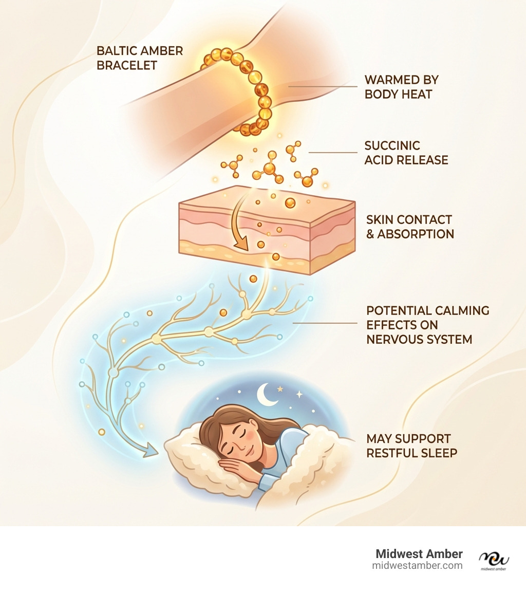 infographic showing how Baltic amber releases succinic acid when warmed by body heat, the compound's journey through skin contact, and its potential calming effects on the nervous system that may support restful sleep - do amber bracelets help sleep infographic 