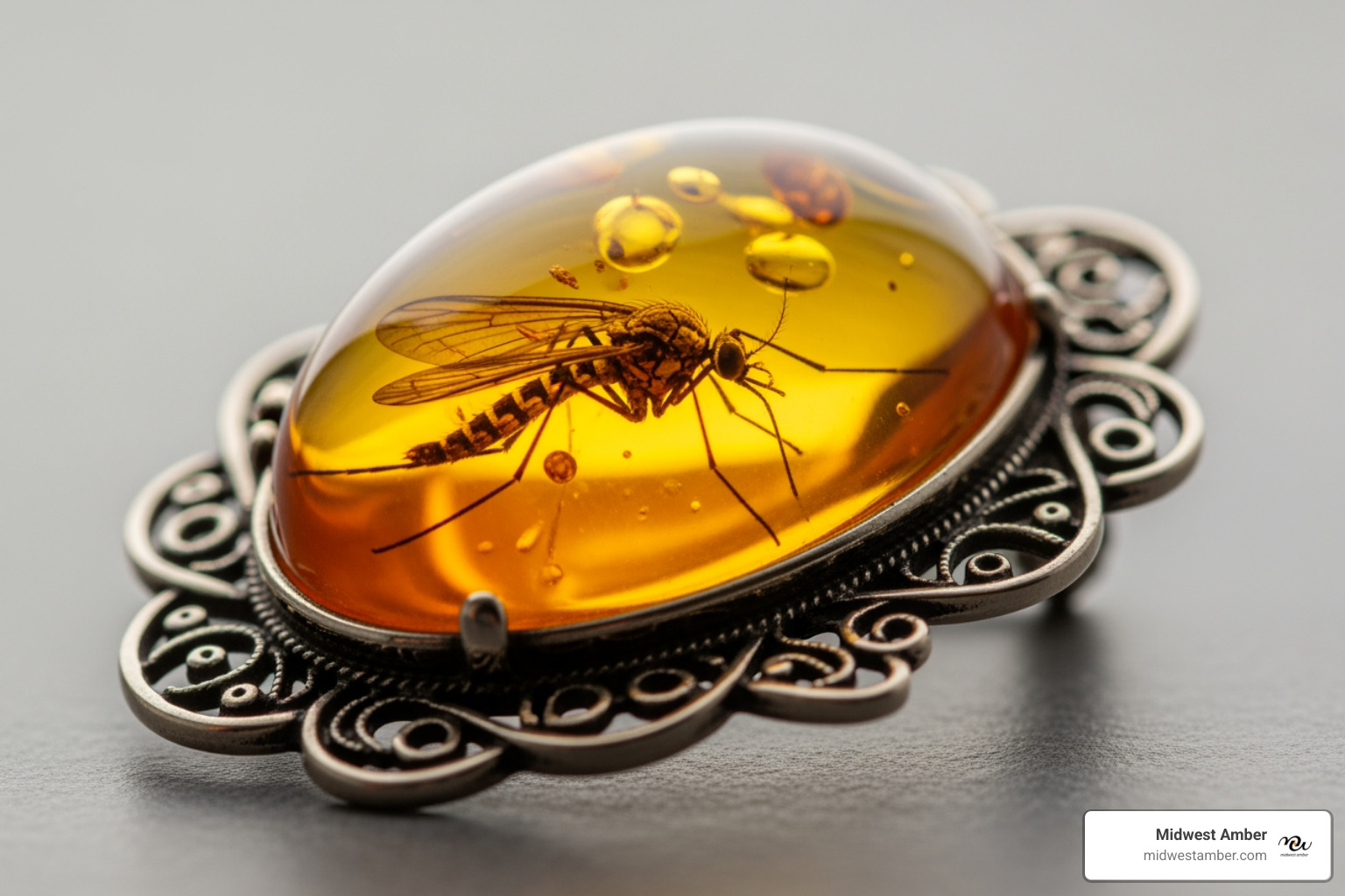 insect amber brooch