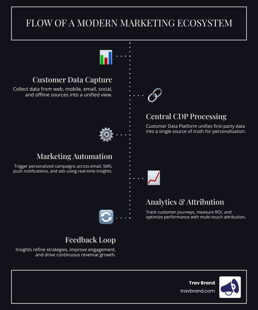 Infographic showing the flow of a modern marketing ecosystem: customer data flows into a central CDP, which connects to marketing automation, analytics platforms, and customer engagement tools, creating a feedback loop that informs strategy and personalizes experiences across email, social, mobile, and web channels - marketing ecosystem solutions infographic infographic-line-5-steps-dark Infographic showing the flow of a modern marketing ecosystem: customer data flows into a central CDP, which connects to marketing automation, analytics platforms, and customer engagement tools, creating a feedback loop that informs strategy and personalizes experiences across email, social, mobile, and web channels - marketing ecosystem solutions infographic infographic-line-5-steps-dark