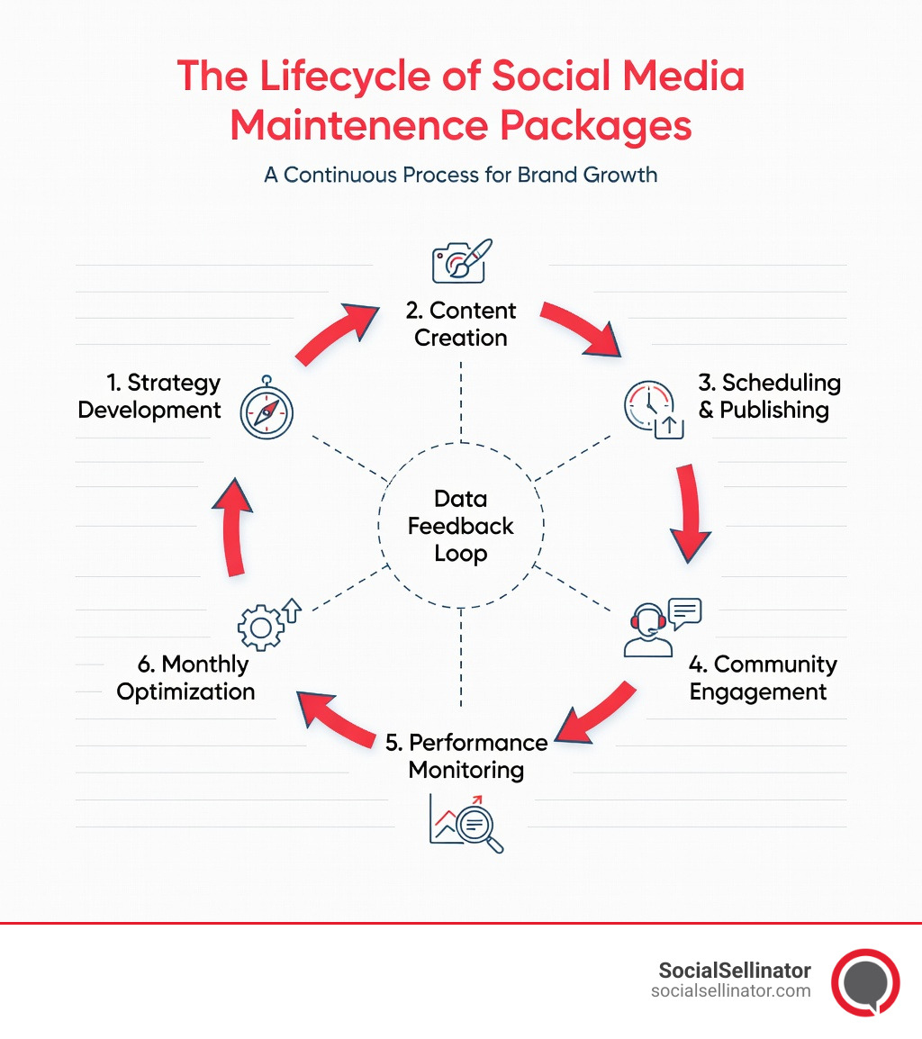 Infographic showing the complete lifecycle of social media maintenance packages including strategy development, content creation, scheduling, publishing, community engagement, performance monitoring, and monthly optimization cycles with data feedback loops - social media maintenance packages infographic 