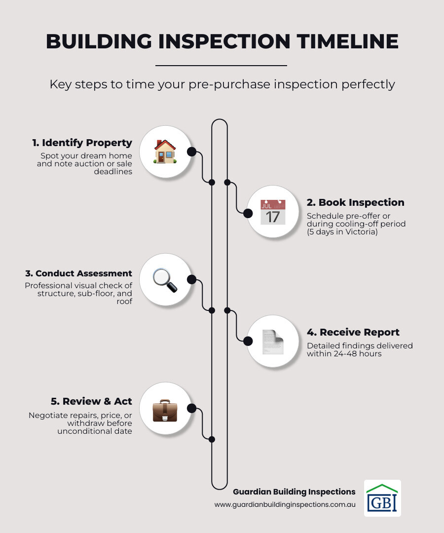 Infographic showing building inspection timeline: 1. Property identified 2. Pre-offer inspection booked 3. Inspector conducts visual assessment 4. Report delivered within 24-48 hours 5. Review findings with legal and financial advisers 6. Negotiate repairs or price adjustment 7. Make informed purchase decision - building report buying house infographic infographic-line-5-steps-elegantmd5-946c6d3fe299c5fb1664f6c361fb10cdbeige