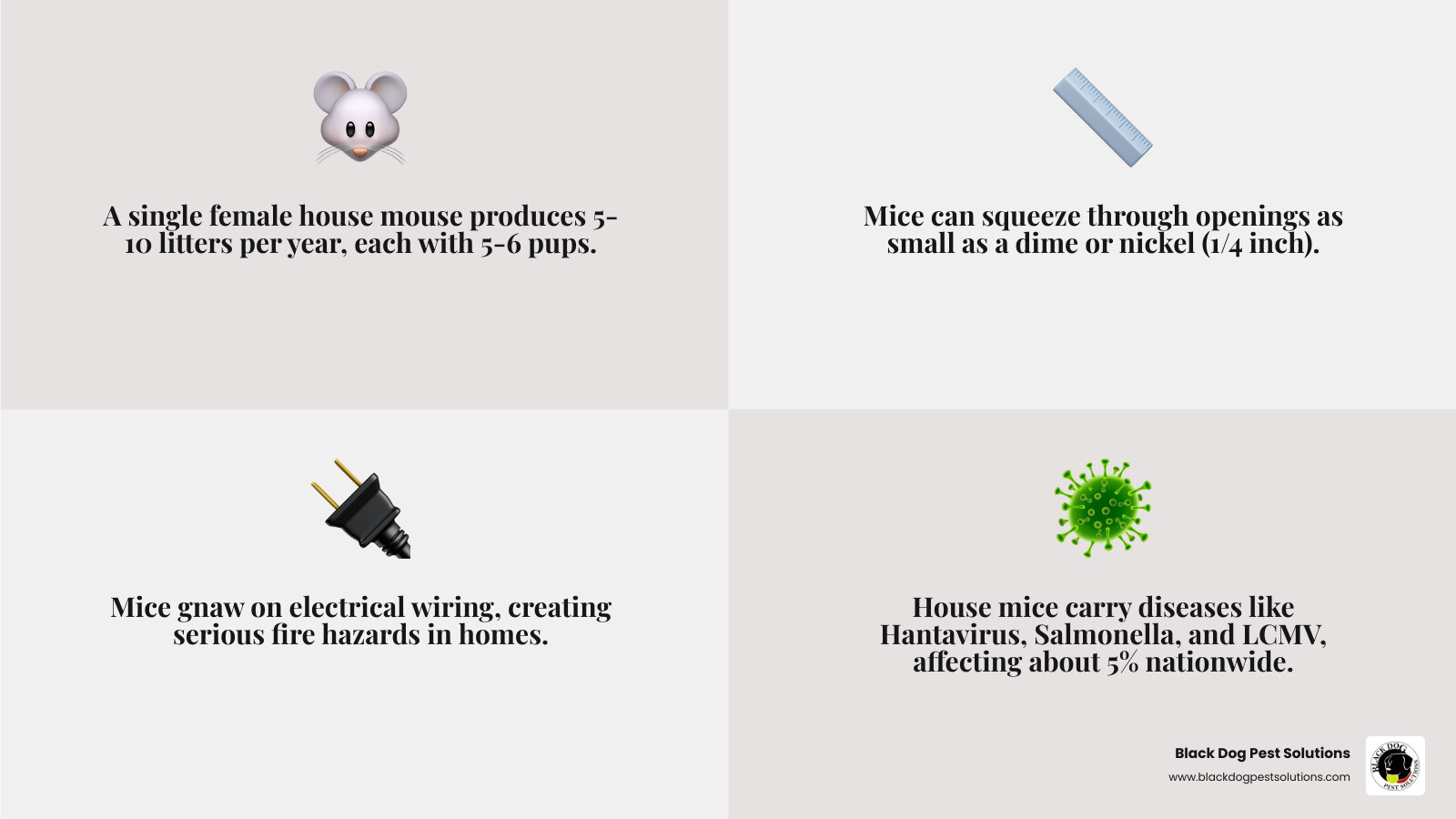 Table comparing satisfaction guarantees vs. money-back promises: Satisfaction guarantees focus on free re-treatments and solving the specific issue until resolved; Money-back promises usually apply if the problem isn't solved within a specific timeframe or under a recurring service contract. - Guaranteed mice removal infographic 4_facts_emoji_grey Table comparing satisfaction guarantees vs. money-back promises: Satisfaction guarantees focus on free re-treatments and solving the specific issue until resolved; Money-back promises usually apply if the problem isn't solved within a specific timeframe or under a recurring service contract. - Guaranteed mice removal infographic 4_facts_emoji_grey
