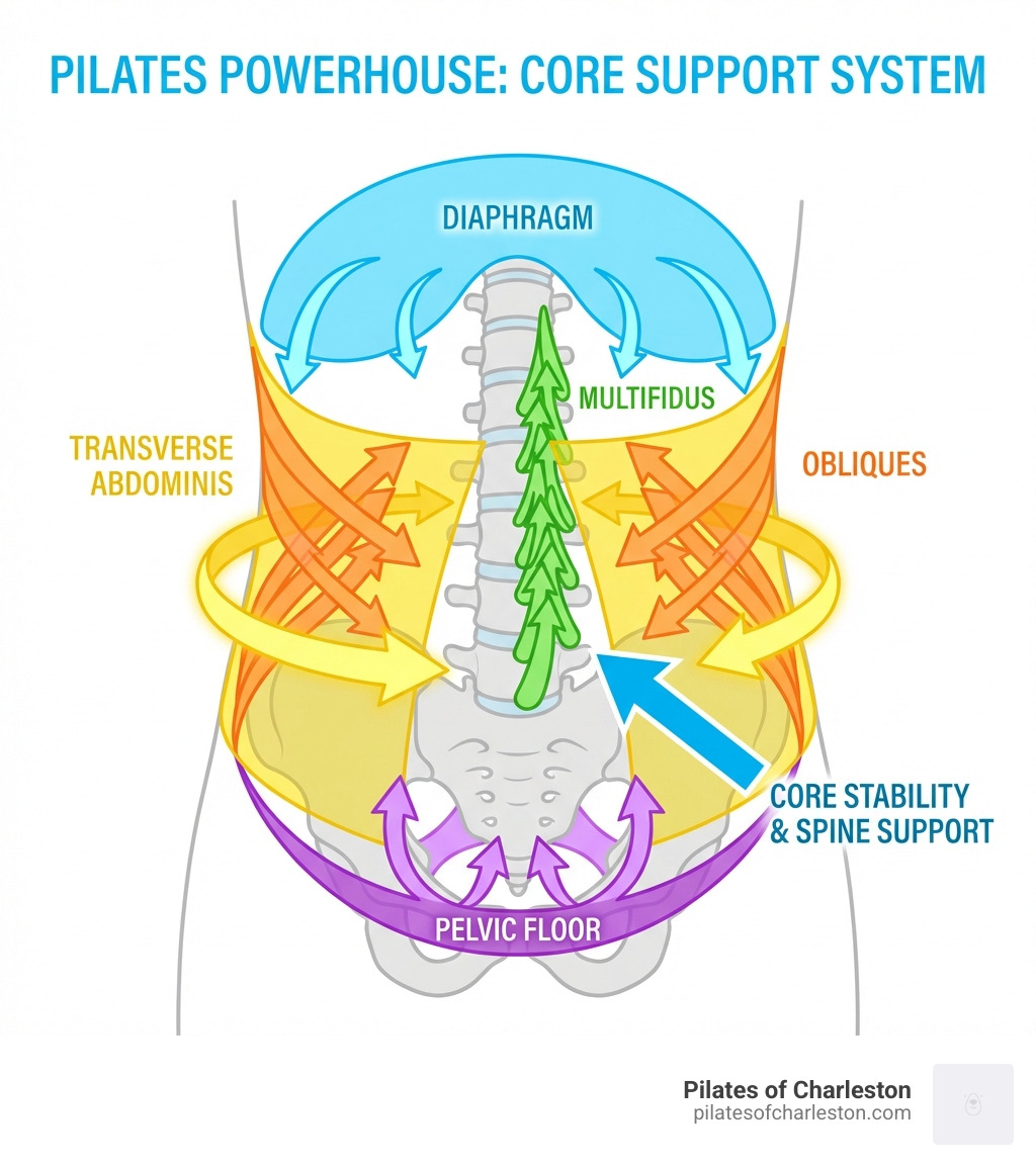 infographic showing the powerhouse muscles in pilates including transverse abdominis, pelvic floor, multifidus, diaphragm, and obliques with arrows indicating how they wrap around and support the spine - pilates for core strength beginners infographic infographic showing the powerhouse muscles in pilates including transverse abdominis, pelvic floor, multifidus, diaphragm, and obliques with arrows indicating how they wrap around and support the spine - pilates for core strength beginners infographic