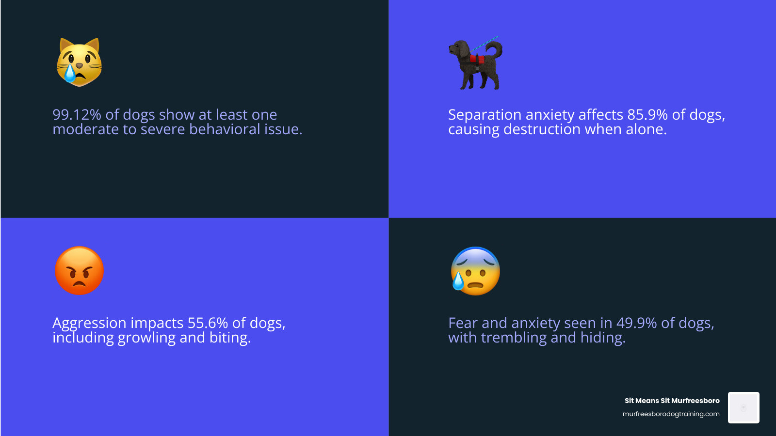 infographic showing breakdown of dog behavioral issues by category: separation and attachment behaviors 85.9%, aggression 55.6%, fear and anxiety 49.9%, with icons showing destructive chewing, excessive barking, resource guarding, leash reactivity, and house soiling as most common specific problems - dog behavioral issues infographic 4_facts_emoji_blue