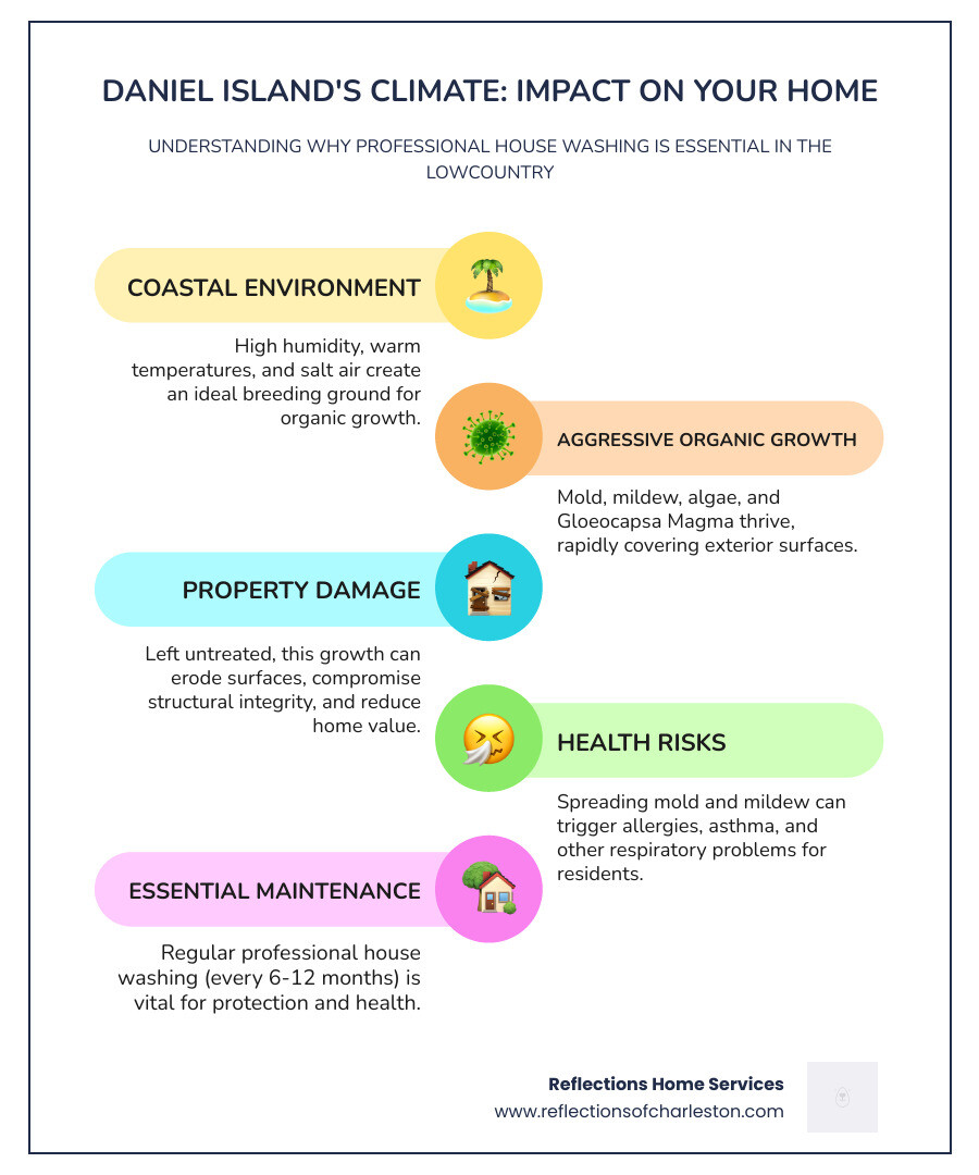 Infographic showing how Daniel Island's coastal climate accelerates home exterior damage: humidity and heat levels by season, types of organic growth (mold, mildew, algae, Gloeocapsa Magma bacteria), surfaces most affected (siding, roof, driveway, deck), health and structural risks, and recommended cleaning frequency of every 6-12 months - professional house washing daniel island infographic infographic-line-5-steps-colors