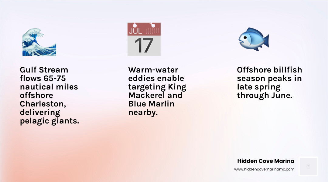 Infographic detailing major Charleston fishing tournament types, target species, and general seasons - charleston fishing tournaments infographic 3_facts_emoji_light-gradient Infographic detailing major Charleston fishing tournament types, target species, and general seasons - charleston fishing tournaments infographic 3_facts_emoji_light-gradient