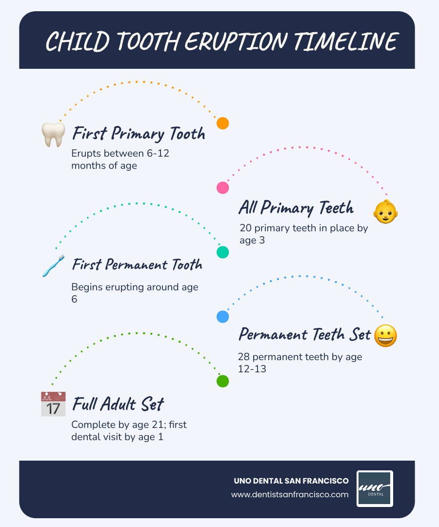 Infographic showing the timeline of primary and permanent tooth eruption in children: first primary tooth erupts between 6-12 months, all 20 primary teeth in place by age 3, permanent teeth begin erupting around age 6, full set of 28 permanent teeth by age 21, with recommended dentist visit schedule every 6 months and first visit by age 1 - pediatric dentist california street san francisco infographic infographic-line-5-steps-blues-accent_colors Infographic showing the timeline of primary and permanent tooth eruption in children: first primary tooth erupts between 6-12 months, all 20 primary teeth in place by age 3, permanent teeth begin erupting around age 6, full set of 28 permanent teeth by age 21, with recommended dentist visit schedule every 6 months and first visit by age 1 - pediatric dentist california street san francisco infographic infographic-line-5-steps-blues-accent_colors