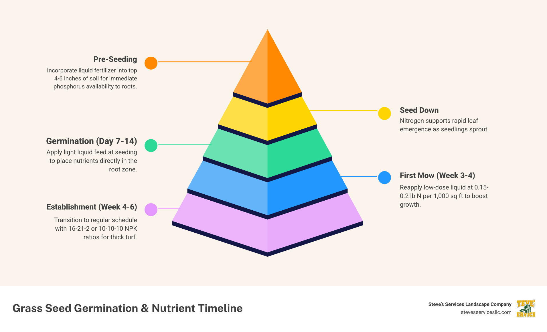 Infographic showing the grass seed germination and nutrient absorption cycle: timeline from seeding to establishment, with stages labeled Pre-Seeding (liquid fertilizer soil incorporation), Seed Down (phosphorus availability in root zone), Germination Day 7-14 (nitrogen supports leaf emergence), First Mow Week 3-4 (low-dose liquid reapplication at 0.15-0.2 lb N/K), and Establishment Week 4-6 (transition to regular fertilizer schedule); includes icons for root development, moisture retention, and NPK ratio recommendations 16-21-2 and 10-10-10 - liquid fertilizer for new grass seed infographic pyramid-hierarchy-5-steps Infographic showing the grass seed germination and nutrient absorption cycle: timeline from seeding to establishment, with stages labeled Pre-Seeding (liquid fertilizer soil incorporation), Seed Down (phosphorus availability in root zone), Germination Day 7-14 (nitrogen supports leaf emergence), First Mow Week 3-4 (low-dose liquid reapplication at 0.15-0.2 lb N/K), and Establishment Week 4-6 (transition to regular fertilizer schedule); includes icons for root development, moisture retention, and NPK ratio recommendations 16-21-2 and 10-10-10 - liquid fertilizer for new grass seed infographic pyramid-hierarchy-5-steps