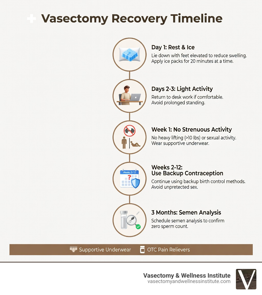 Vasectomy recovery timeline infographic showing 5 stages: Day 1 (rest and ice), Days 2-3 (light activity and desk work), Week 1 (no strenuous exercise or sex), Weeks 2-12 (use backup contraception), and 3 months (semen analysis confirms sterility), with icons for each stage and key tips like wearing supportive underwear and taking OTC pain relievers - vasectomy recovery infographic Vasectomy recovery timeline infographic showing 5 stages: Day 1 (rest and ice), Days 2-3 (light activity and desk work), Week 1 (no strenuous exercise or sex), Weeks 2-12 (use backup contraception), and 3 months (semen analysis confirms sterility), with icons for each stage and key tips like wearing supportive underwear and taking OTC pain relievers - vasectomy recovery infographic