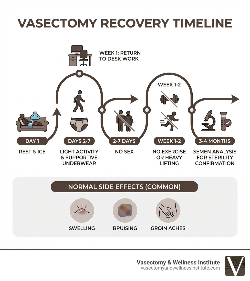 Vasectomy recovery timeline infographic showing day-by-day and week-by-week milestones: Day 1 rest and ice, Days 2-7 light activity and supportive underwear, Week 1-2 no exercise or heavy lifting, Week 1 return to desk work, 2-7 days no sex, 3-4 months semen analysis for sterility confirmation, with normal side effects listed including swelling bruising and groin aches - after vasectomy recovery infographic Vasectomy recovery timeline infographic showing day-by-day and week-by-week milestones: Day 1 rest and ice, Days 2-7 light activity and supportive underwear, Week 1-2 no exercise or heavy lifting, Week 1 return to desk work, 2-7 days no sex, 3-4 months semen analysis for sterility confirmation, with normal side effects listed including swelling bruising and groin aches - after vasectomy recovery infographic