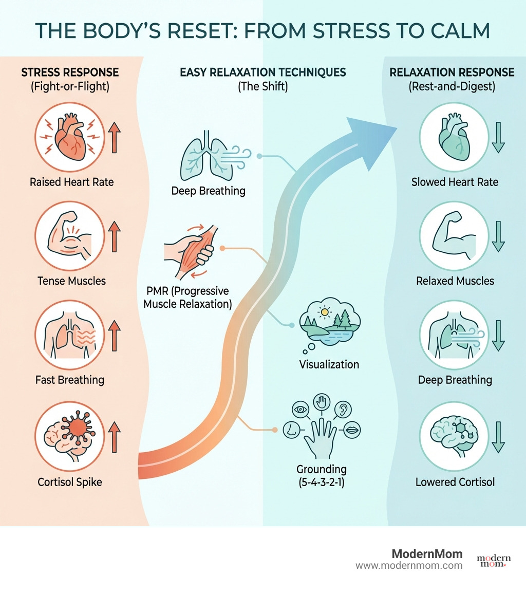 Infographic showing two sides: on the left, the 'Stress Response' with icons and labels for raised heart rate, tense muscles, fast breathing, and cortisol spike; on the right, the 'Relaxation Response' with icons and labels for slowed heart rate, relaxed muscles, deep breathing, and lowered cortisol — with arrows showing how easy relaxation techniques like deep breathing, PMR, visualization, and grounding help shift the body from stress to calm - easy relaxation techniques infographic 