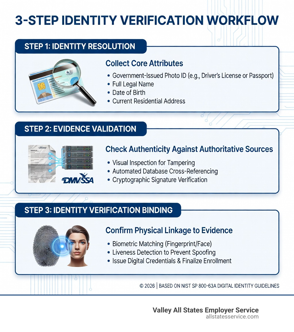 Infographic showing the 3-step identity verification workflow: Step 1 - Identity Resolution (collect core attributes like government ID, name, date of birth, and address), Step 2 - Evidence Validation (check authenticity against authoritative sources like DMV and SSA using visual inspection, automated processes, or cryptographic checks), Step 3 - Identity Verification Binding (confirm the applicant is physically linked to the evidence via biometric comparison or liveness detection, then issue credentials and complete enrollment) - identity verification system infographic 