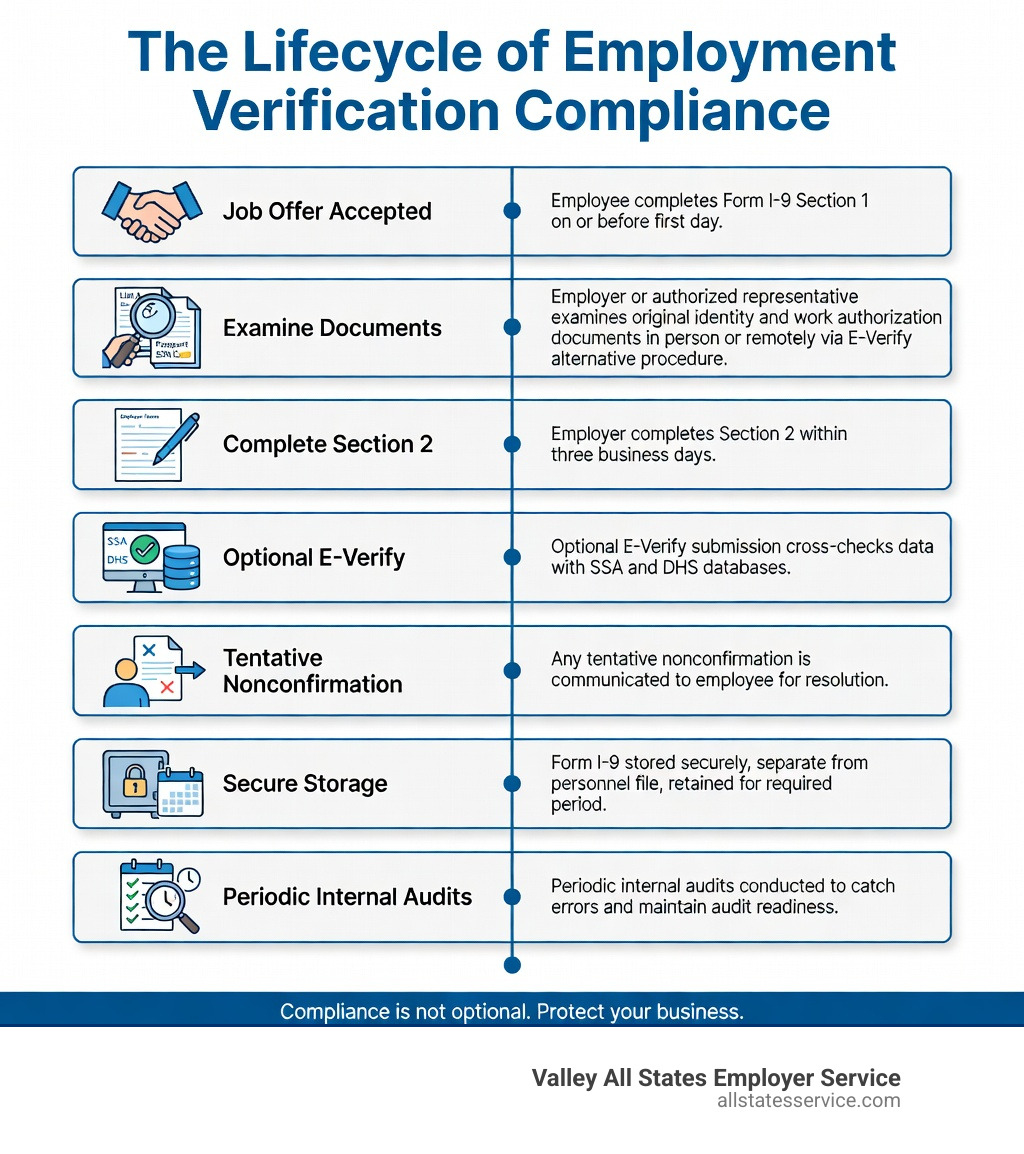 Step-by-step infographic showing the full lifecycle of employment verification compliance: Step 1 - Job offer accepted, employee completes Form I-9 Section 1 on or before first day; Step 2 - Employer or authorized representative examines original identity and work authorization documents in person or remotely via E-Verify alternative procedure; Step 3 - Employer completes Section 2 within three business days; Step 4 - Optional E-Verify submission cross-checks data with SSA and DHS databases; Step 5 - Any tentative nonconfirmation is communicated to employee for resolution; Step 6 - Form I-9 stored securely, separate from personnel file, retained for required period; Step 7 - Periodic internal audits conducted to catch errors and maintain audit readiness - employment verification compliance infographic 