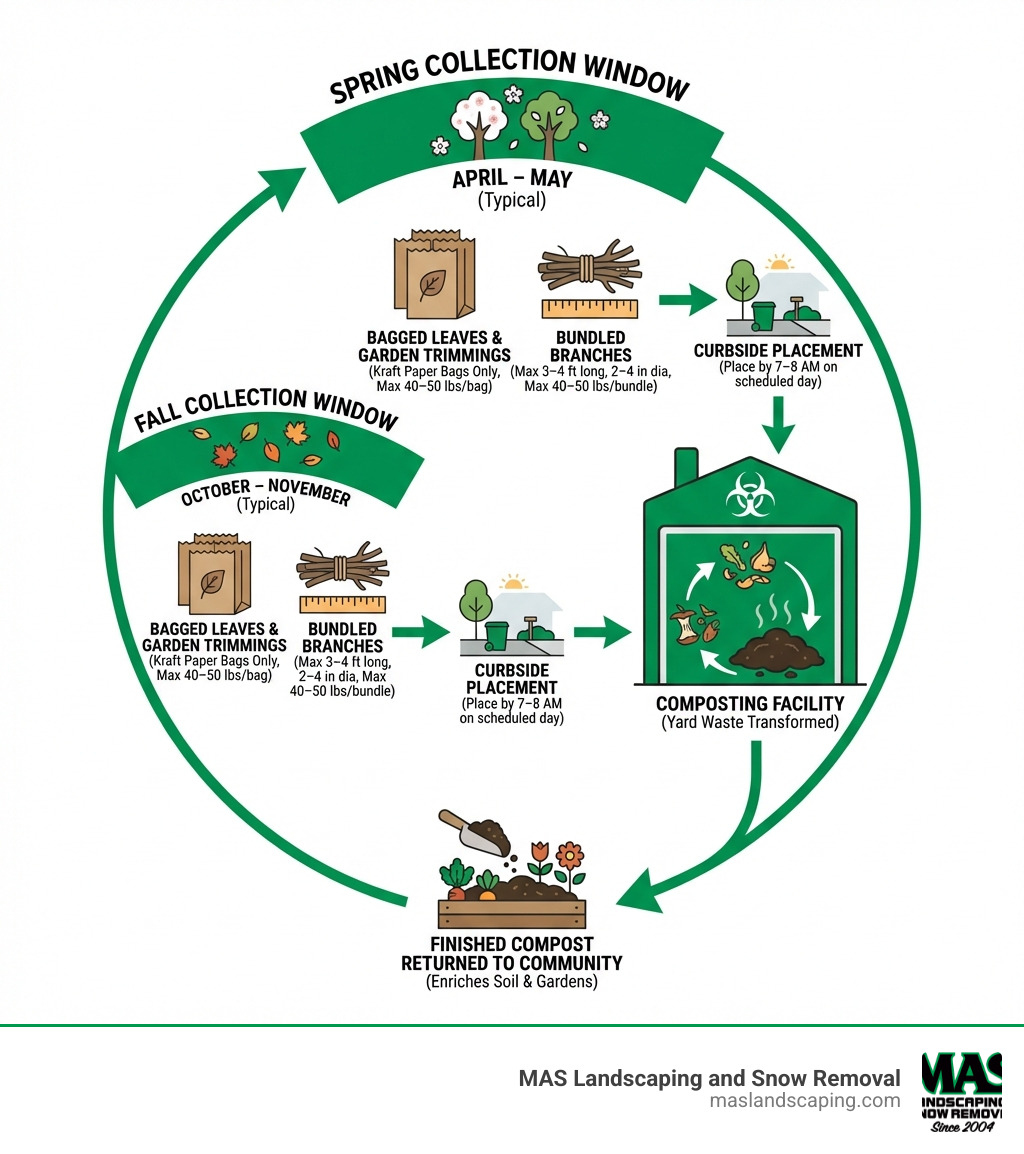 Infographic showing the seasonal leaf and brush pick up cycle: spring and fall collection windows, acceptable materials like bagged leaves and bundled branches with size/weight limits, curbside placement rules, and how collected yard waste is composted and returned to the community as finished compost - leaf and brush pick up infographic Infographic showing the seasonal leaf and brush pick up cycle: spring and fall collection windows, acceptable materials like bagged leaves and bundled branches with size/weight limits, curbside placement rules, and how collected yard waste is composted and returned to the community as finished compost - leaf and brush pick up infographic