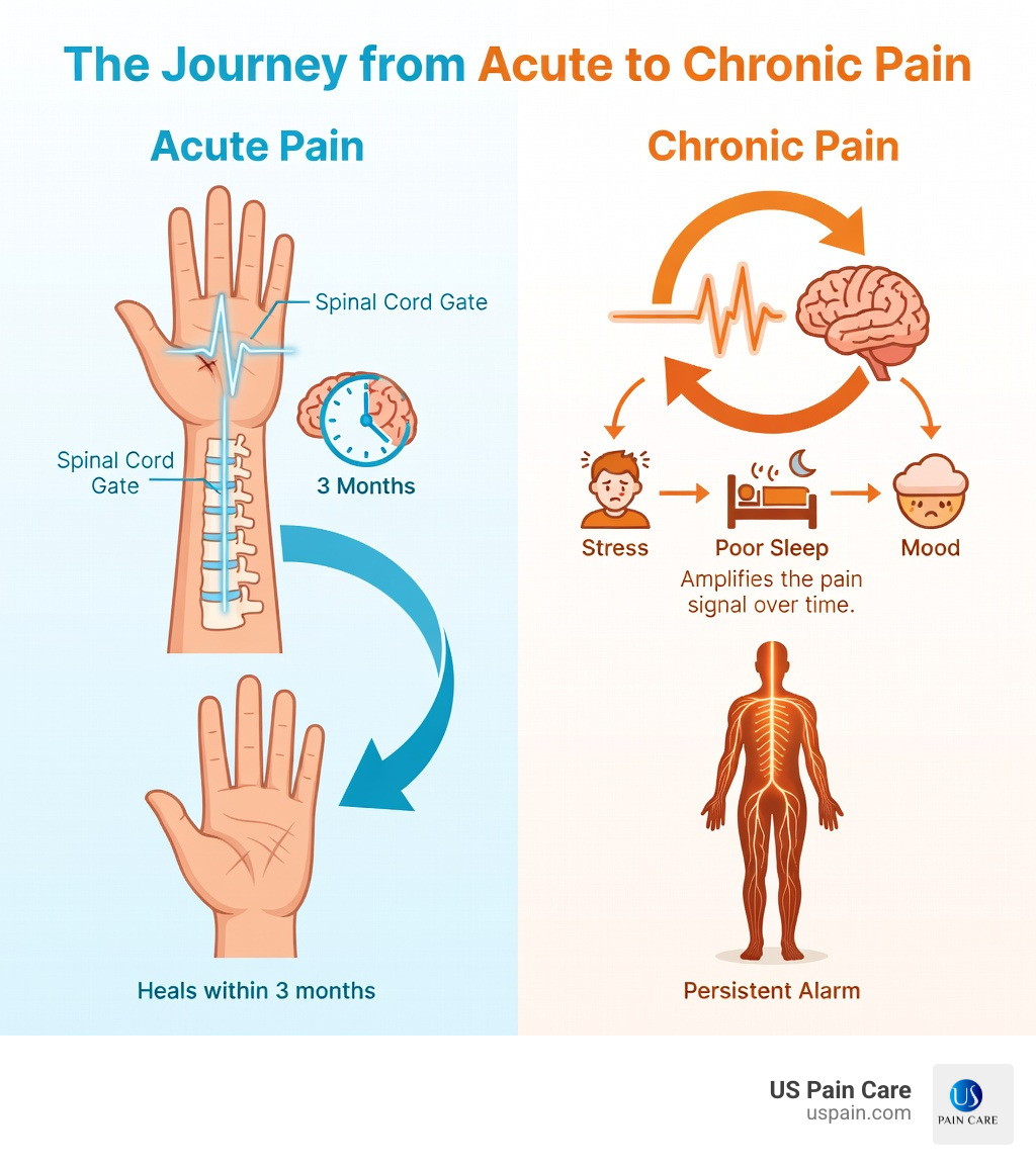 Infographic showing the transition from acute to chronic pain: acute pain triggers a nerve signal after injury, travels through the spinal cord gate to the brain, and fades within 3 months as tissue heals; chronic pain shows a sensitized nervous system where the alarm stays on even without active injury, with arrows indicating factors like stress, poor sleep, and mood that amplify the pain signal over time - pain management patient education infographic 
