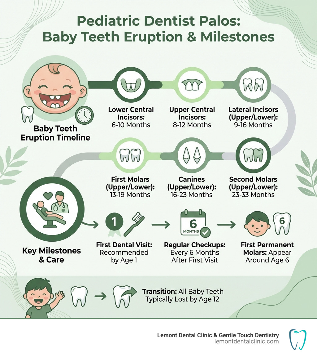 Infographic showing baby teeth eruption timeline: lower central incisors appear at 6-10 months, upper central incisors at 8-12 months, lateral incisors at 9-16 months, first molars at 13-19 months, canines at 16-23 months, second molars at 23-33 months; first dental visit recommended by age 1; dental checkups every 6 months after that; first permanent molars appear around age 6; all baby teeth typically lost by age 12 - Pediatric dentist Palos infographic 