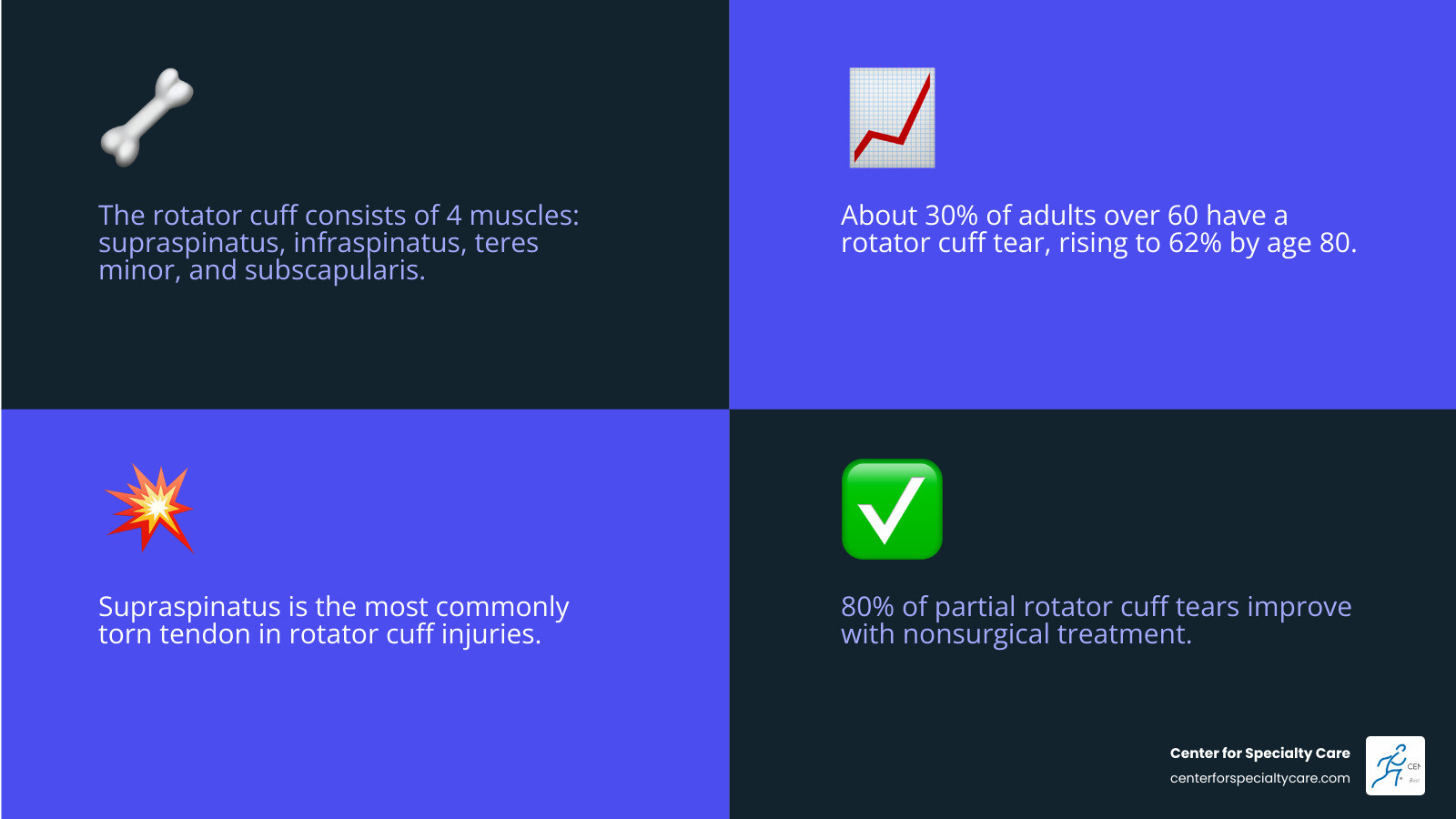 Infographic showing the rotator cuff anatomy including the four muscles (supraspinatus, infraspinatus, subscapularis, teres minor), types of tears (partial vs full-thickness), key symptoms (night pain, overhead weakness, clicking sounds), prevalence by age group (23% at 70, 51% at 80), and treatment pathways (nonsurgical vs surgical) with recovery timelines - torn rotator cuff infographic 4_facts_emoji_blue