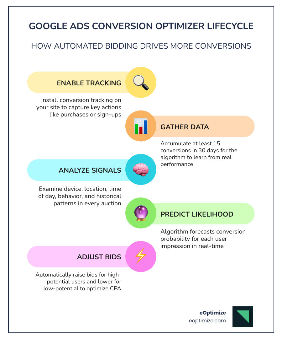 Infographic showing the Google Ads Conversion Optimizer lifecycle: Step 1 - Enable conversion tracking on your website; Step 2 - Accumulate at least 15 conversions in 30 days; Step 3 - Google analyzes signals (device, location, time, behavior, history); Step 4 - Algorithm predicts conversion likelihood per auction; Step 5 - Bids are automatically raised or lowered in real time; Step 6 - You monitor CPA and conversion volume; Step 7 - System continuously learns and improves over time - google ads conversion optimizer infographic infographic-line-5-steps-colors