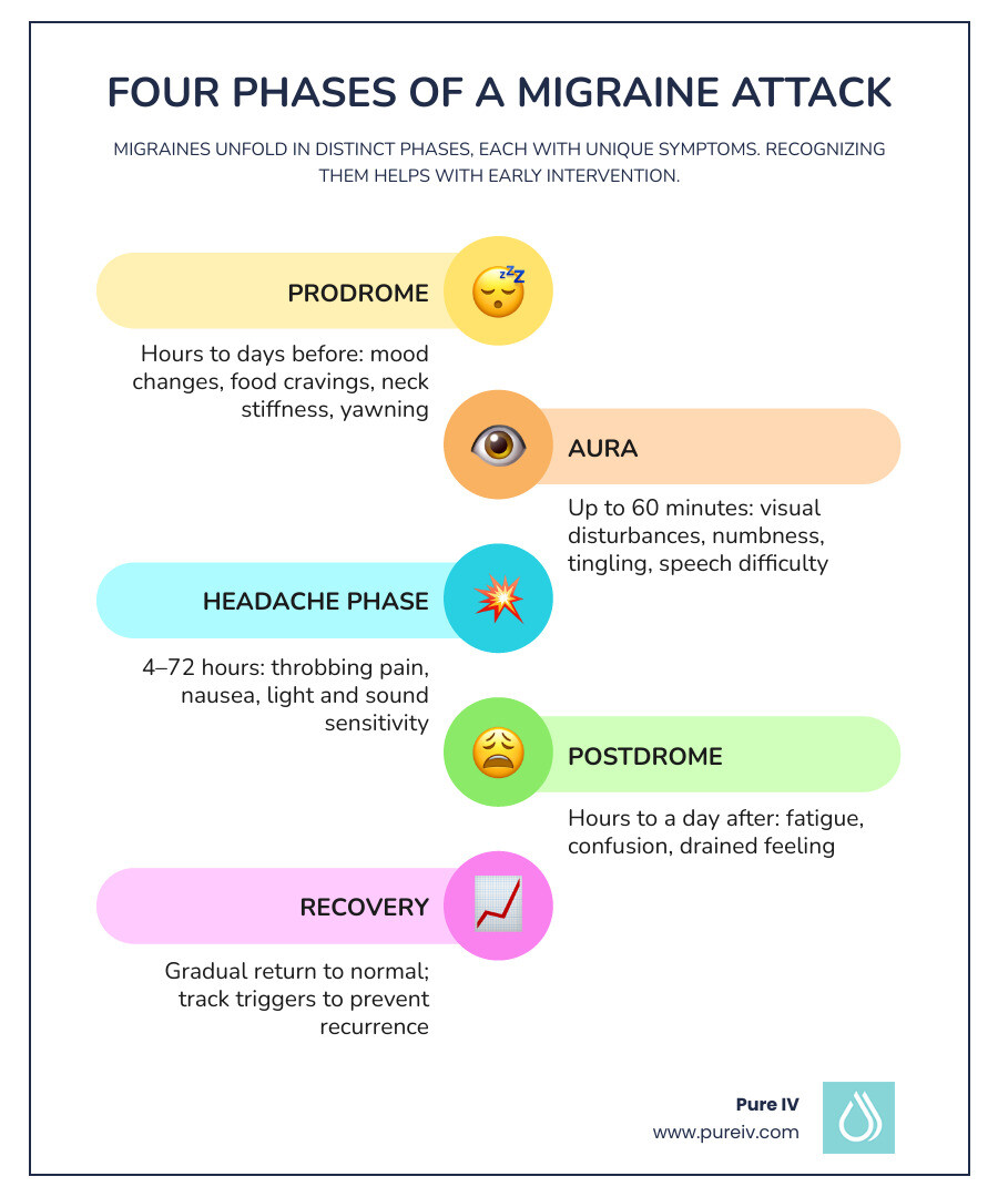 Infographic showing the four phases of a migraine attack: Prodrome (hours to days before — mood changes, food cravings, neck stiffness, yawning), Aura (up to 60 minutes — visual disturbances, numbness, tingling, speech difficulty), Headache Phase (4–72 hours — throbbing pain, nausea, light and sound sensitivity), and Postdrome (hours to a day after — fatigue, confusion, drained feeling), with icons and a horizontal timeline arrow - what causes migraines infographic infographic-line-5-steps-colors