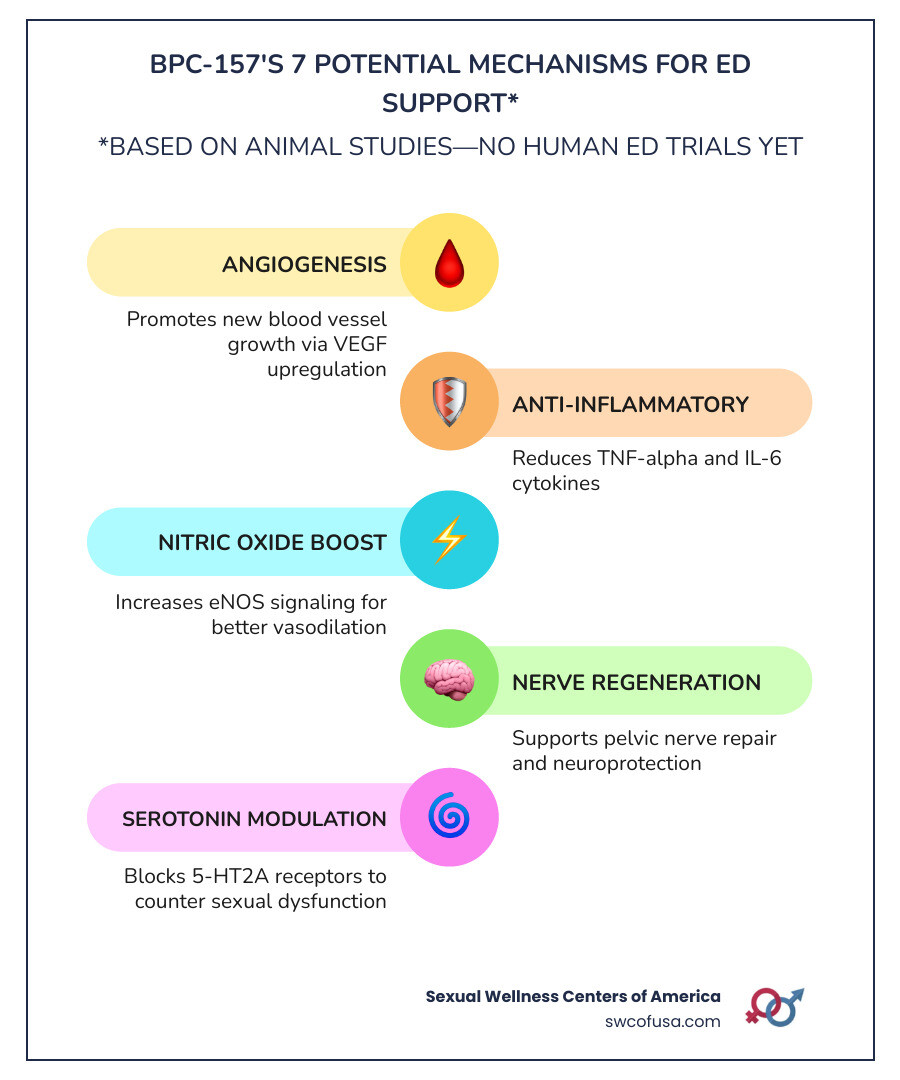 Infographic showing BPC-157's 7 potential mechanisms for erectile dysfunction support: 1) Angiogenesis - promotes new blood vessel growth via VEGF upregulation, 2) Anti-inflammatory - reduces TNF-alpha and IL-6 cytokines, 3) Nitric oxide boost - increases eNOS signaling for vasodilation, 4) Nerve regeneration - supports pelvic nerve repair, 5) Serotonin modulation - blocks 5-HT2A receptor to reduce sexual dysfunction, 6) Anti-anxiety effects - lowers performance anxiety, 7) Tissue repair - stimulates growth factors for penile tissue healing. Bottom note: All mechanisms based on animal studies — no human ED trials conducted to date. - bpc 157 erectile dysfunction infographic infographic-line-5-steps-colors Infographic showing BPC-157's 7 potential mechanisms for erectile dysfunction support: 1) Angiogenesis - promotes new blood vessel growth via VEGF upregulation, 2) Anti-inflammatory - reduces TNF-alpha and IL-6 cytokines, 3) Nitric oxide boost - increases eNOS signaling for vasodilation, 4) Nerve regeneration - supports pelvic nerve repair, 5) Serotonin modulation - blocks 5-HT2A receptor to reduce sexual dysfunction, 6) Anti-anxiety effects - lowers performance anxiety, 7) Tissue repair - stimulates growth factors for penile tissue healing. Bottom note: All mechanisms based on animal studies — no human ED trials conducted to date. - bpc 157 erectile dysfunction infographic infographic-line-5-steps-colors