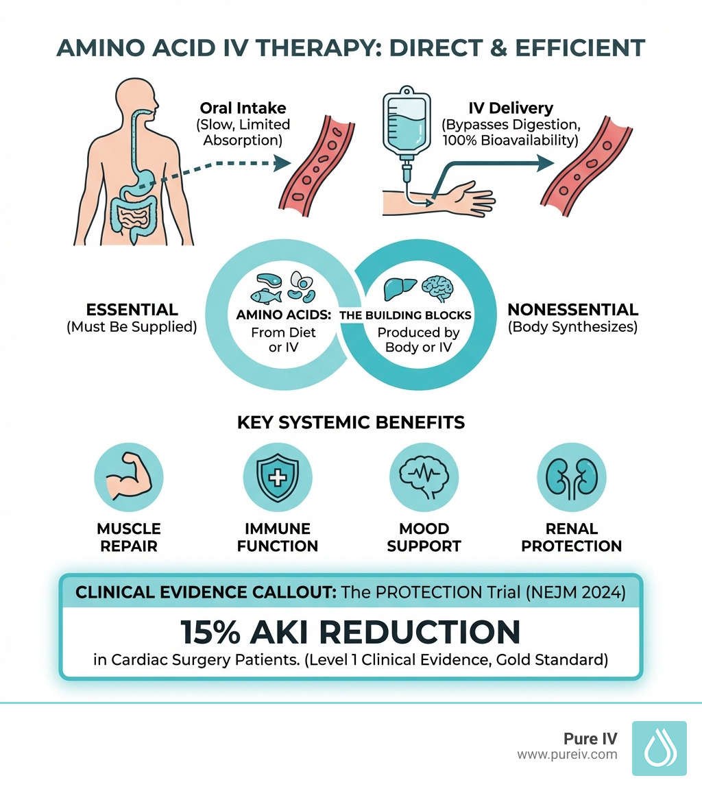 Infographic showing the role of amino acids in IV therapy: essential vs nonessential amino acids, how IV delivery bypasses digestion for 100% bioavailability, key benefits including muscle repair, immune function, mood support, and renal protection, with clinical evidence callout showing 15% AKI reduction in cardiac surgery patients from the PROTECTION trial - amino acid iv therapy infographic 