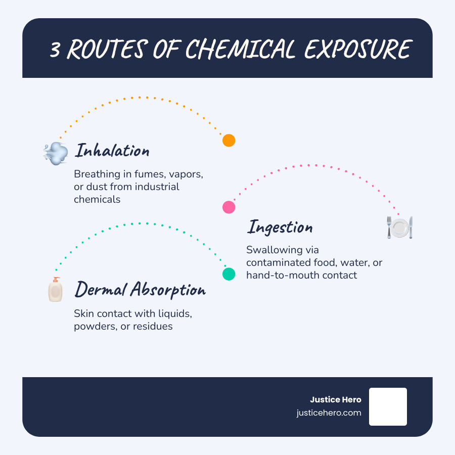 Infographic showing three chemical exposure routes: inhalation (worker breathing industrial fumes), ingestion (contaminated drinking water entering body), and dermal absorption (skin contact with hazardous substances), with icons for each route, common sources listed beneath each, and associated health risks such as lung disease, organ damage, and cancer - Chemical exposure lawsuit infographic infographic-line-3-steps-blues-accent_colors