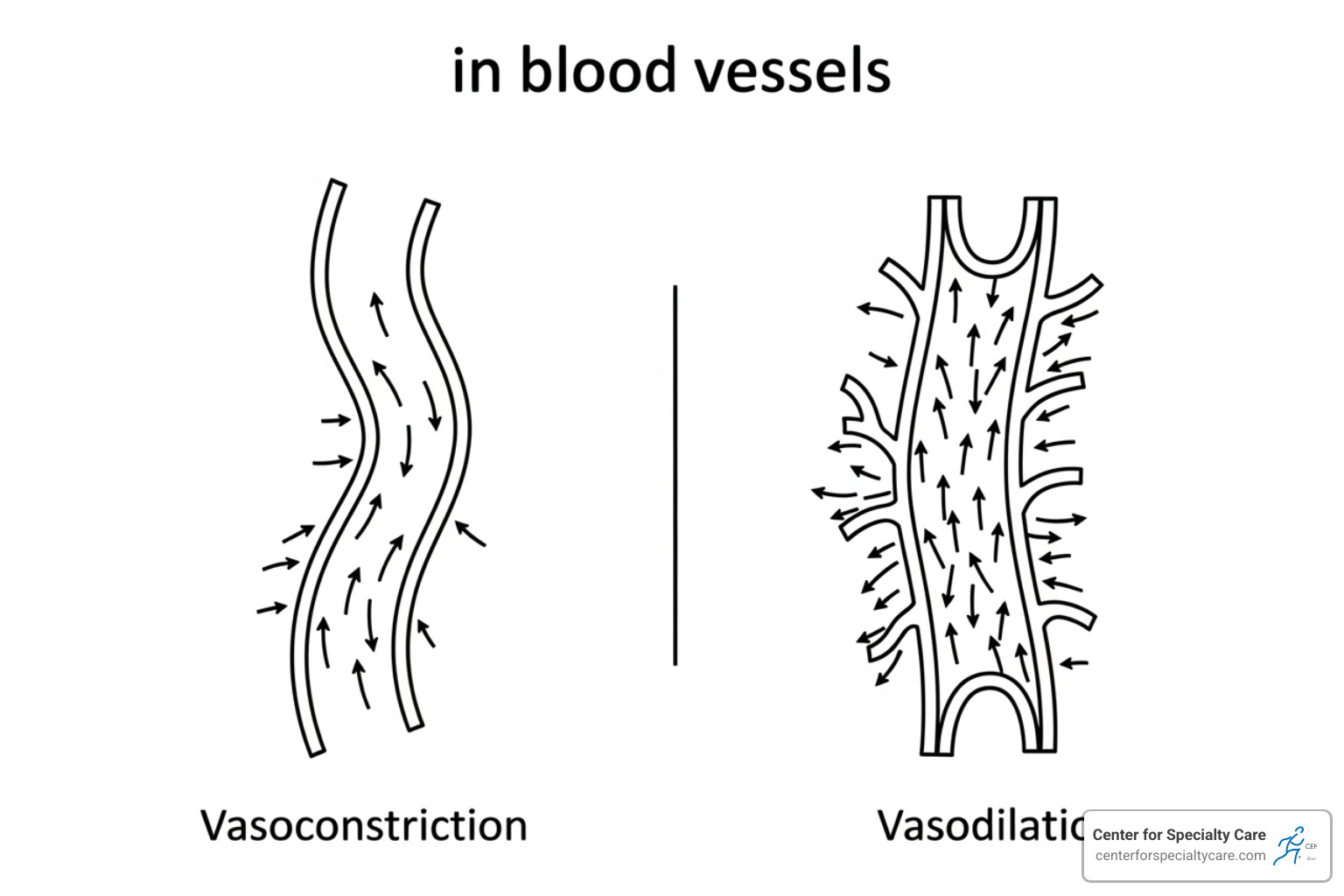 Diagram showing blood flow changes: on the left, cold causing vessels to shrink (vasoconstriction); on the right, heat causing vessels to expand (vasodilation) with increased blood flow arrows - ice or heat for tendons