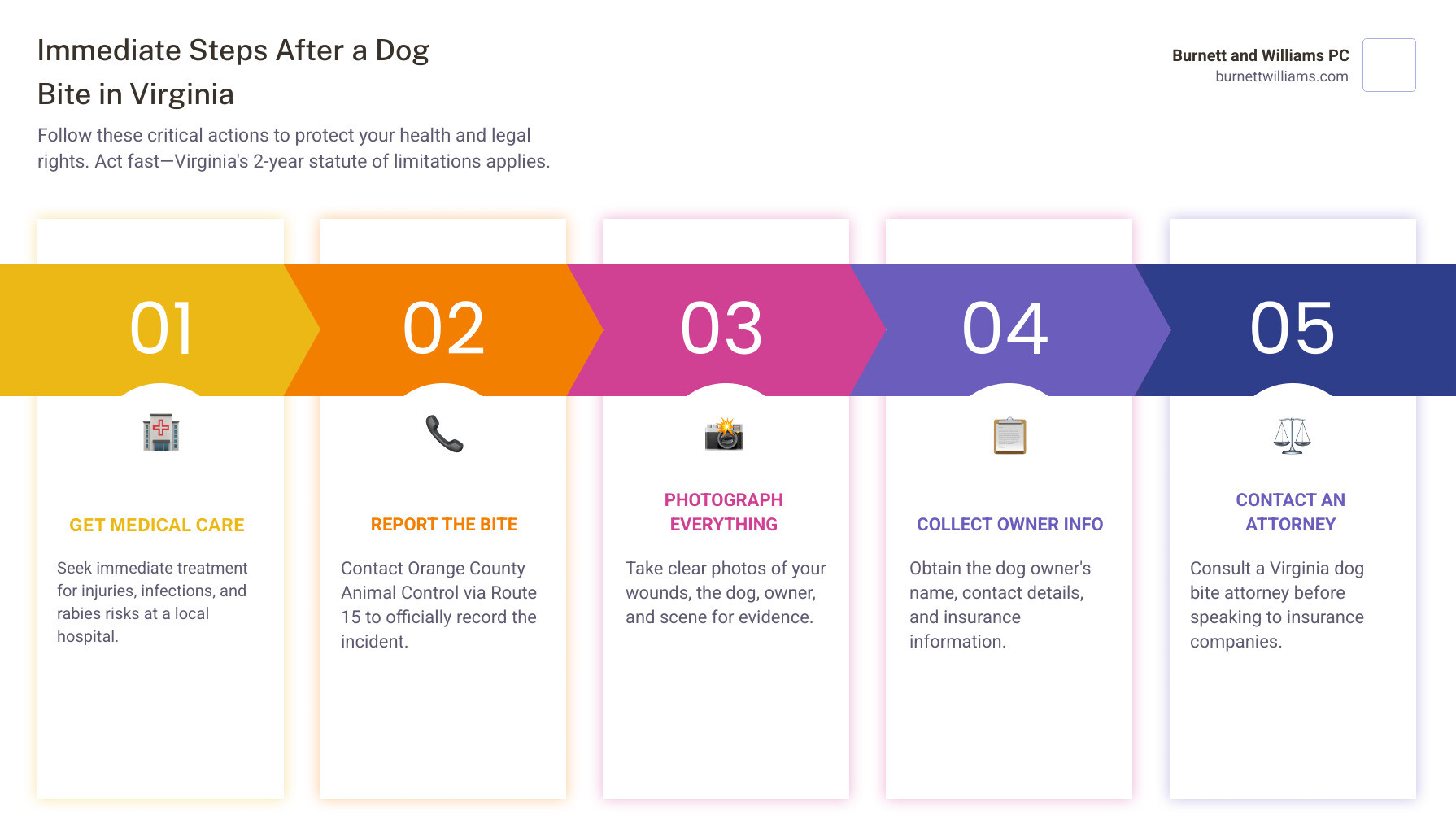 Infographic showing 5 immediate steps after a dog bite in Virginia: 1) Get medical care, 2) Report to Orange County Animal Control, 3) Photograph injuries and scene, 4) Collect owner and insurance details, 5) Contact a Virginia dog bite attorney before talking to insurers, with a note that Virginia's two-year filing deadline means acting fast is critical - Dog bite lawyer Orange infographic pillar-5-steps Infographic showing 5 immediate steps after a dog bite in Virginia: 1) Get medical care, 2) Report to Orange County Animal Control, 3) Photograph injuries and scene, 4) Collect owner and insurance details, 5) Contact a Virginia dog bite attorney before talking to insurers, with a note that Virginia's two-year filing deadline means acting fast is critical - Dog bite lawyer Orange infographic pillar-5-steps