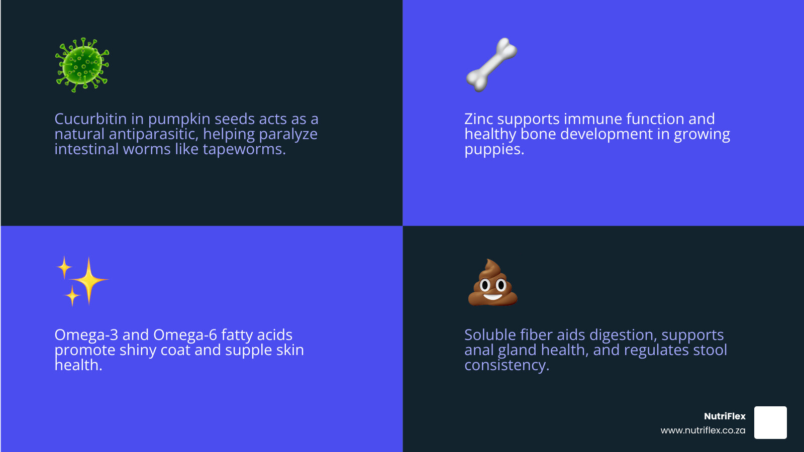 Infographic Showing The Key Vitamins And Minerals In Pumpkin Seeds For Puppies, Including: Zinc For Immune Support, Magnesium For Bone Development, Iron For Healthy Blood, Omega-3 And Omega-6 Fatty Acids For Coat And Skin Health, Cucurbitin As A Natural Antiparasitic, Fiber For Digestive Wellness, And Vitamin A For Eye Health, With A Recommended Dosage Guide Of 1 Ground Seed Per 10 Lbs Of Body Weight Per Day And A Note To Remove Shells And Serve Plain - Pumpkin Seeds For Puppies Infographic 4_Facts_Emoji_Blue