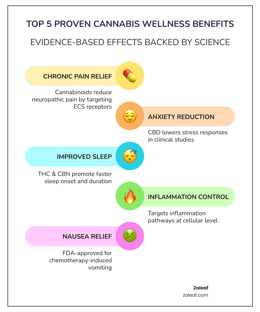 Infographic showing the top 6 proven wellness benefits of cannabis: chronic pain relief, anxiety and stress reduction, improved sleep quality, reduced inflammation, appetite stimulation, and nausea relief — with brief evidence notes and cannabinoids responsible for each benefit (THC, CBD, CBN) - Cannabis for wellness infographic infographic-line-5-steps-colors Infographic showing the top 6 proven wellness benefits of cannabis: chronic pain relief, anxiety and stress reduction, improved sleep quality, reduced inflammation, appetite stimulation, and nausea relief — with brief evidence notes and cannabinoids responsible for each benefit (THC, CBD, CBN) - Cannabis for wellness infographic infographic-line-5-steps-colors